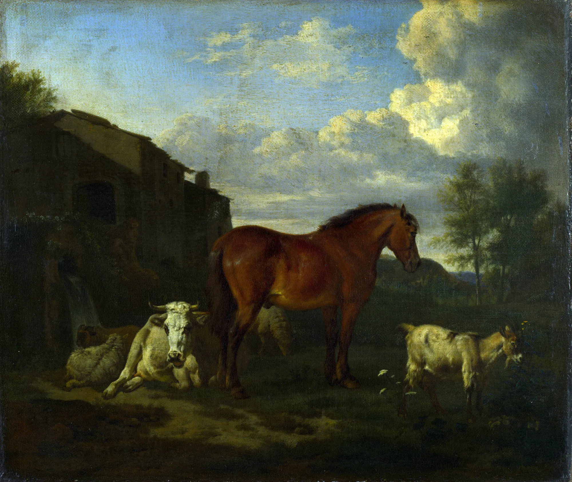 Animals near a Building