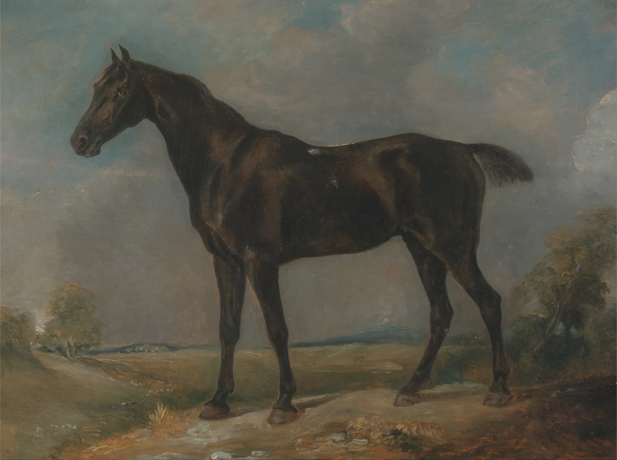 Golding Constable's Black Riding-Horse Golding Constable's Black Riding-Horse by Unknown Artist. A profile portrait of a muscular black horse standing on a dirt path within an expansive, clouded English landscape.