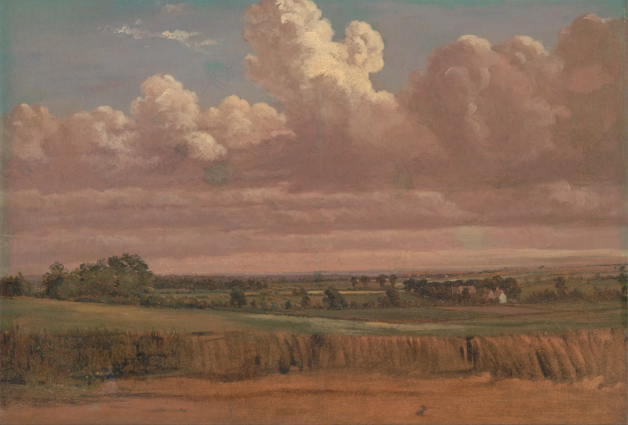 Landscape with Wheatfield