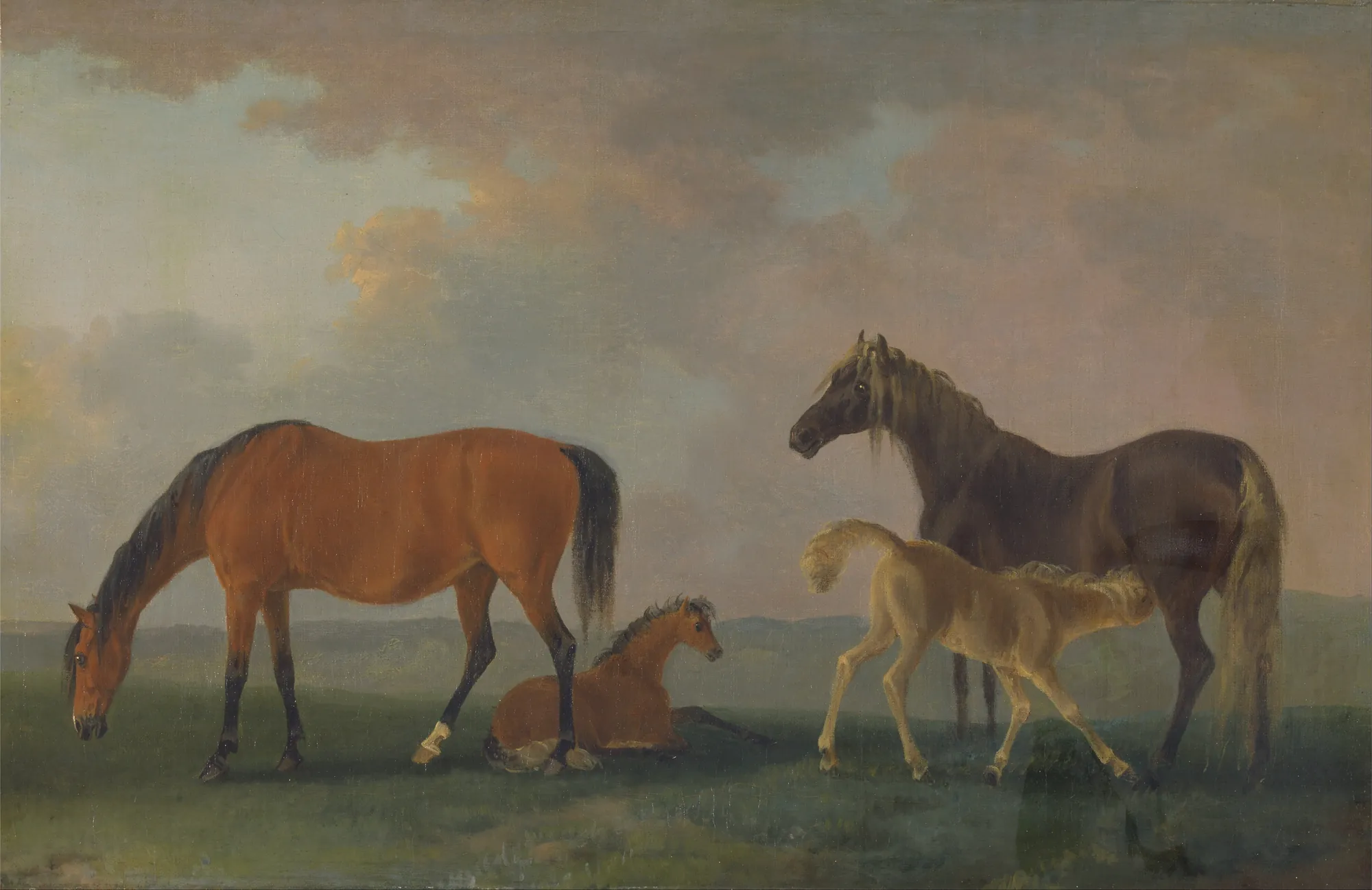 Mares and Foals