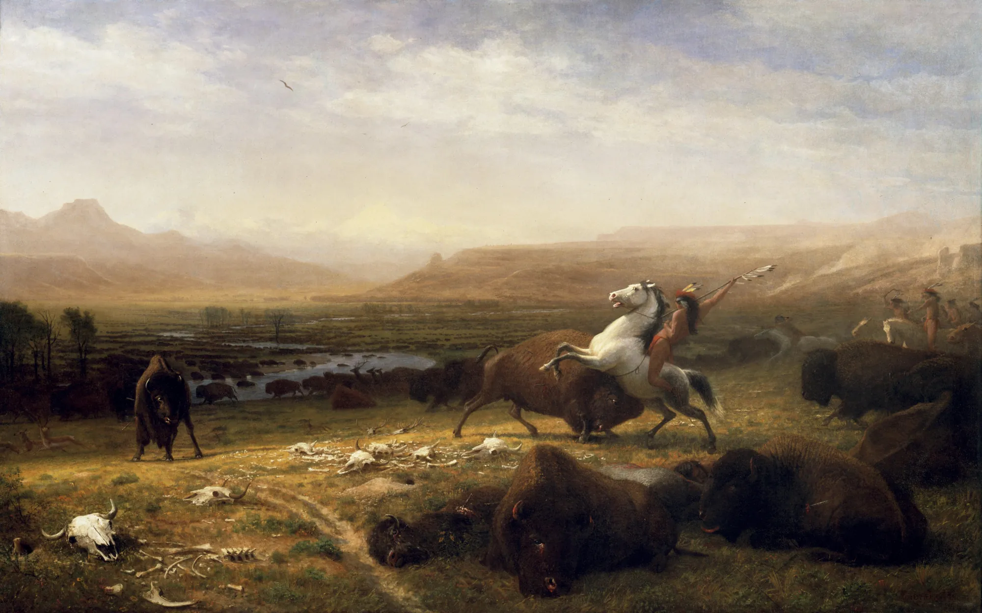 The Last of the Buffalo The Last of the Buffalo by Albert Bierstadt. A vast, atmospheric landscape of the American West depicts a dramatic hunt where a Native American rider on a rearing white horse spears a buffalo amidst a valley littered with bones.