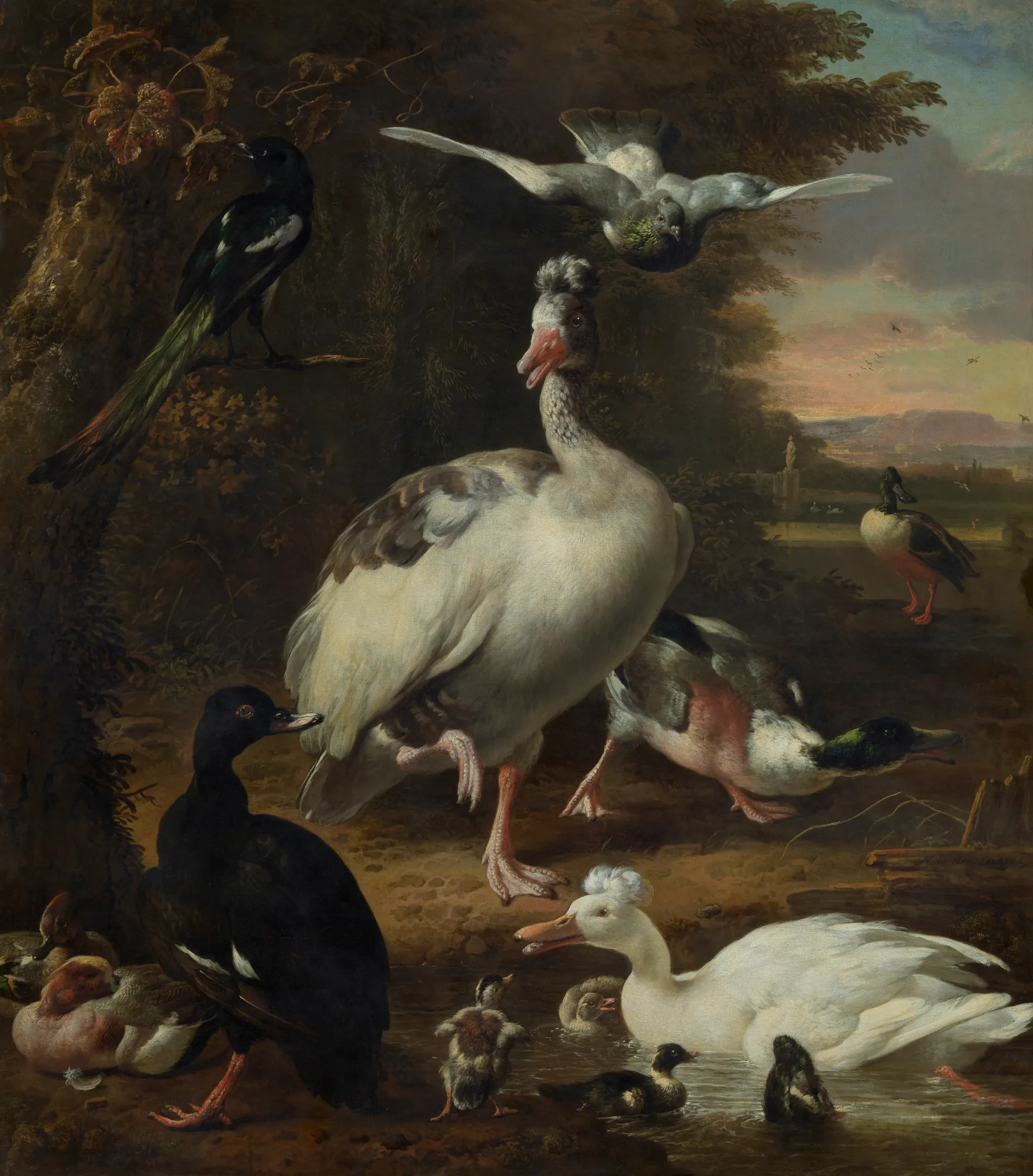 Birds Birds by Melchior d'Hondecoeter. A collection of various birds, including a crested duck, a pigeon, and a magpie, gathered near a pond in a wooded landscape.