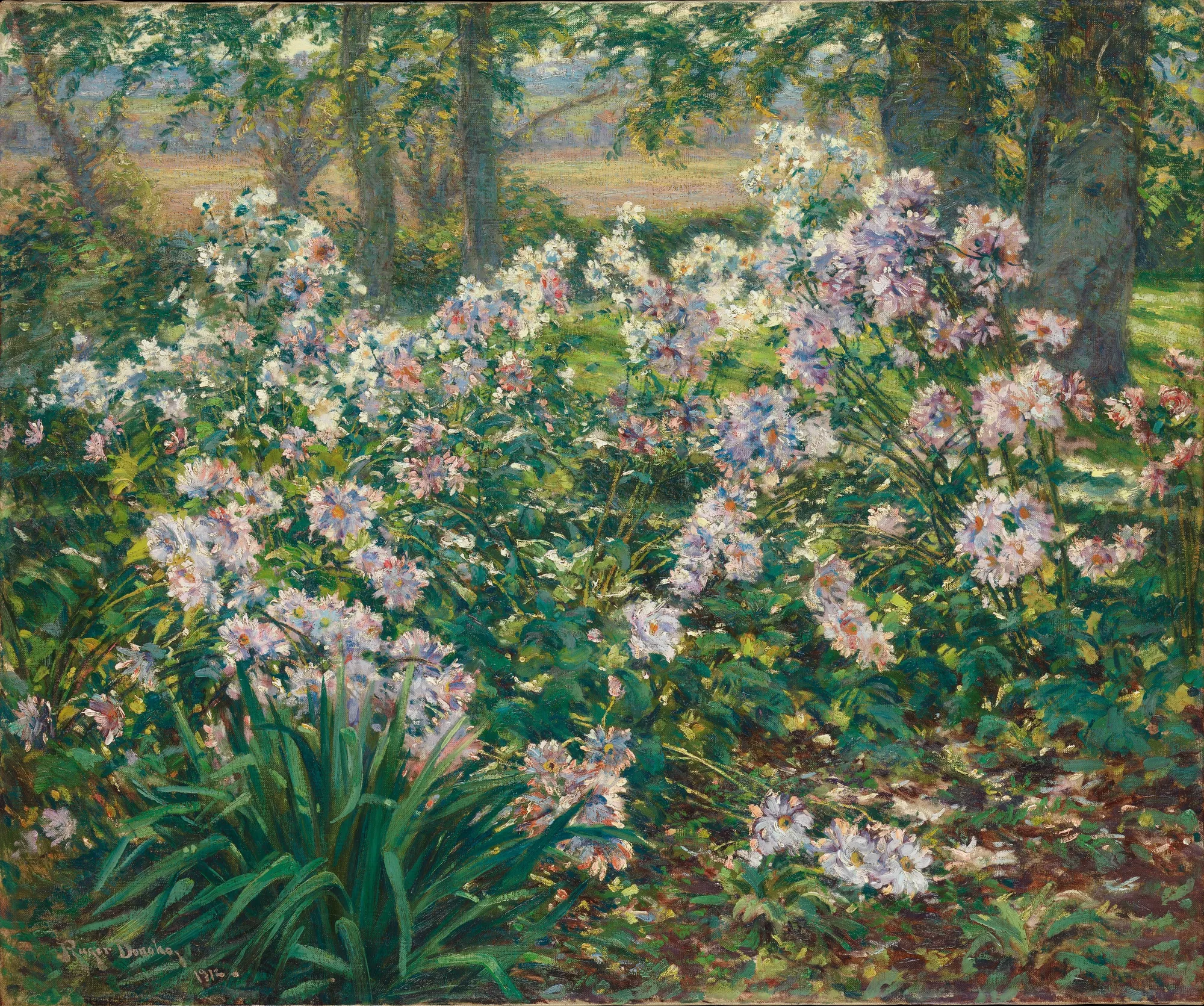 Windflowers