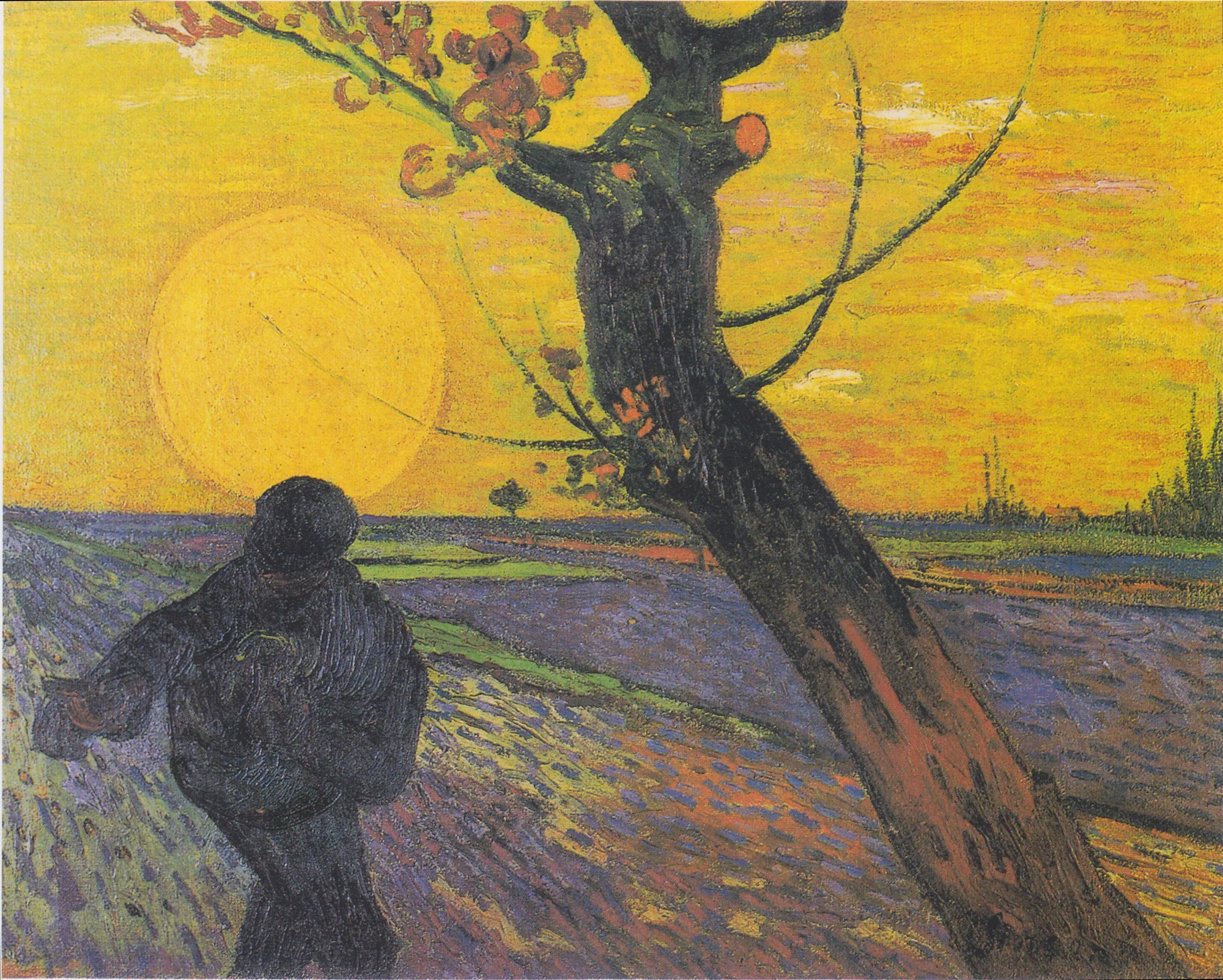 The Sower