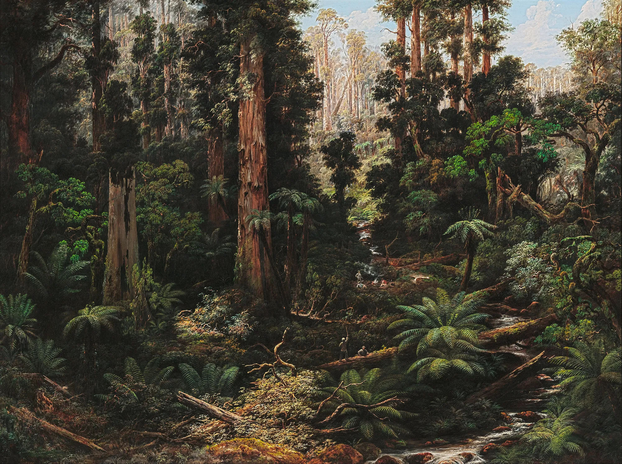 In the Sassafras Valley, Victoria