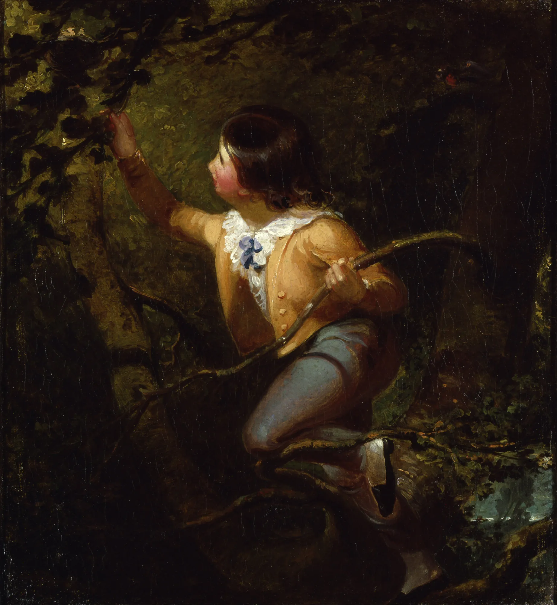 Bird Nesting Bird Nesting by Emanuel Leutze. An oil painting depicting a young boy in a yellow jacket reaching into a dark, leafy tree toward a hidden nest.
