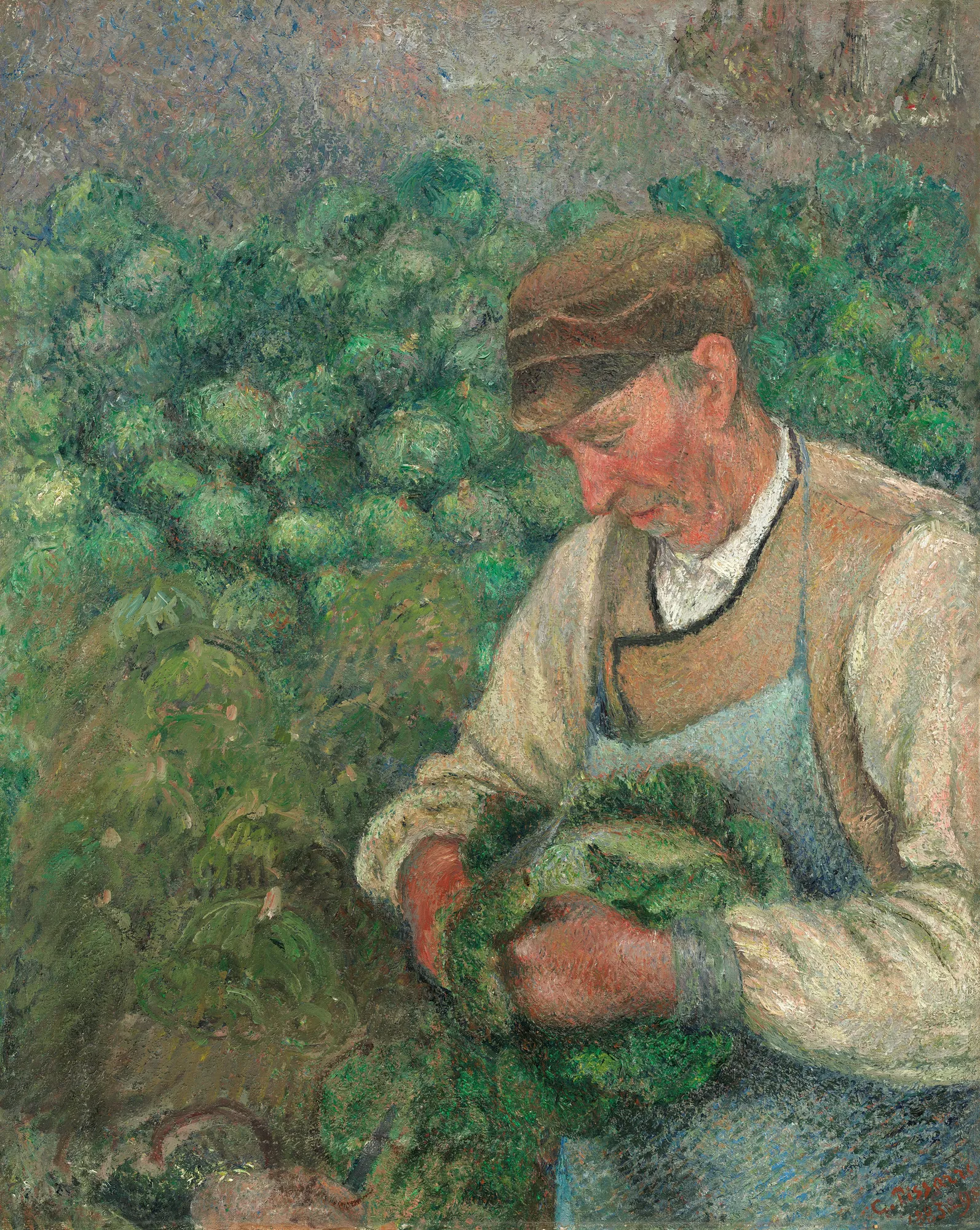 The Gardener (Old Peasant with Cabbage)