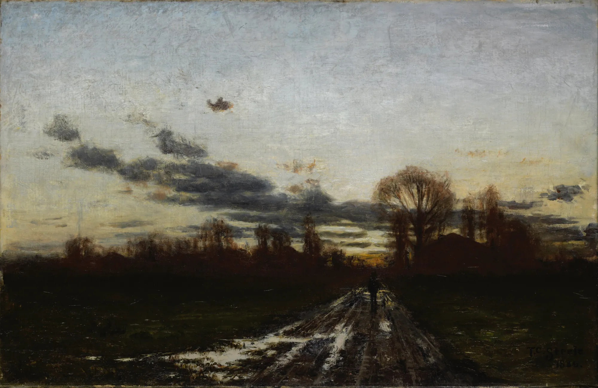 Sunrise
