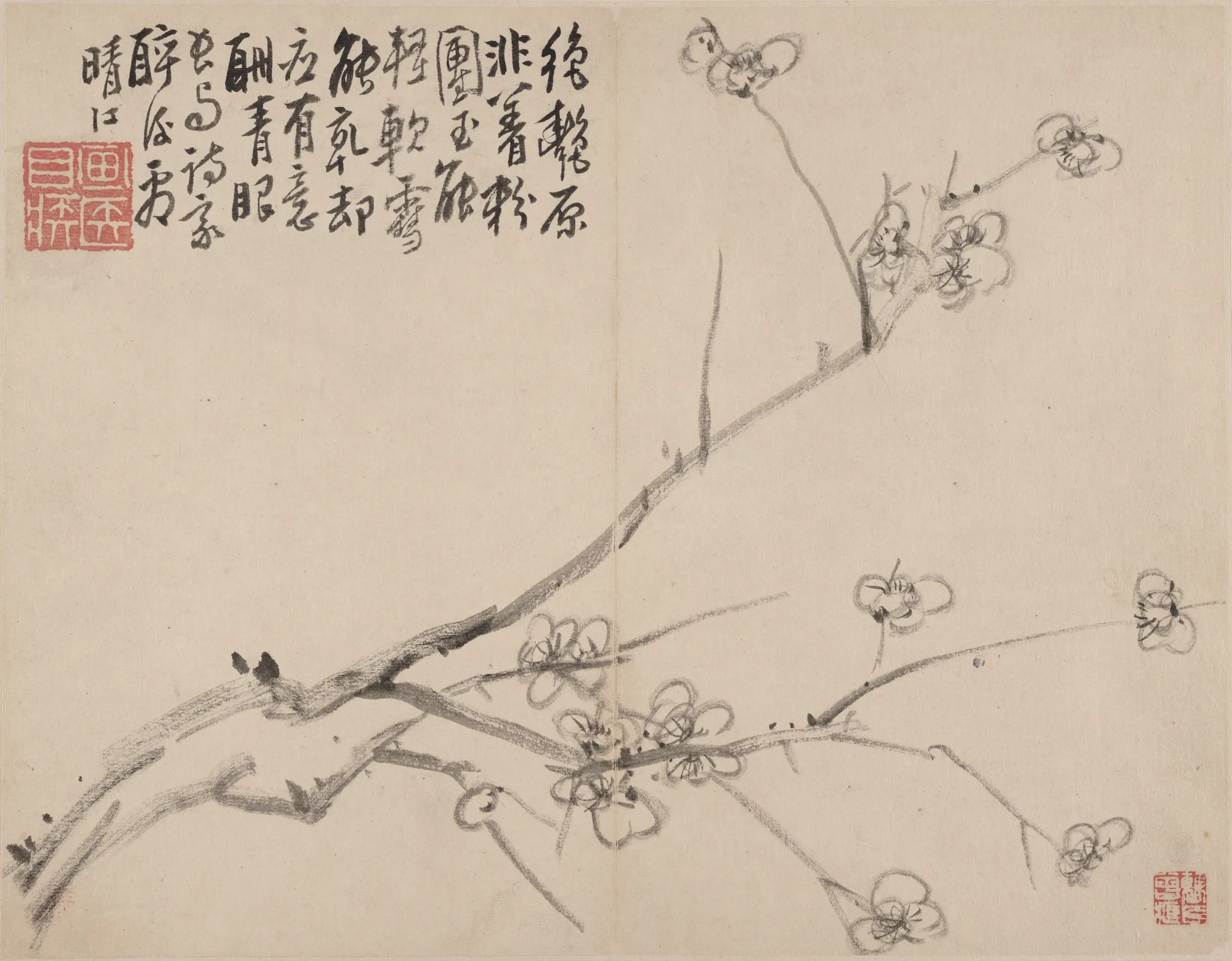 Blossoming Plum