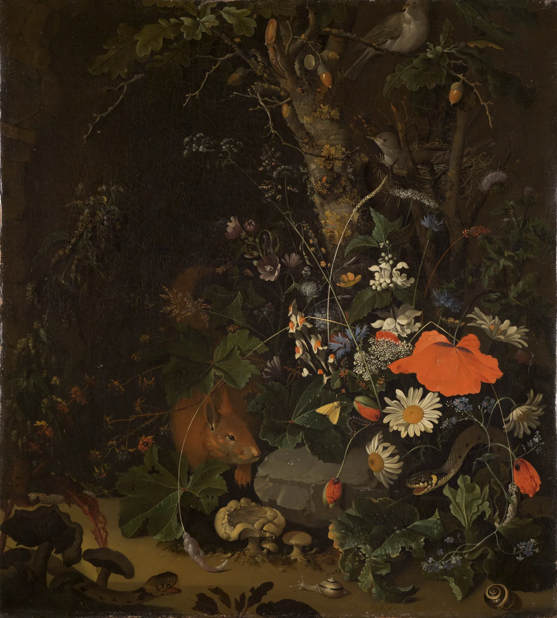 Forest Still Life with Squirrel