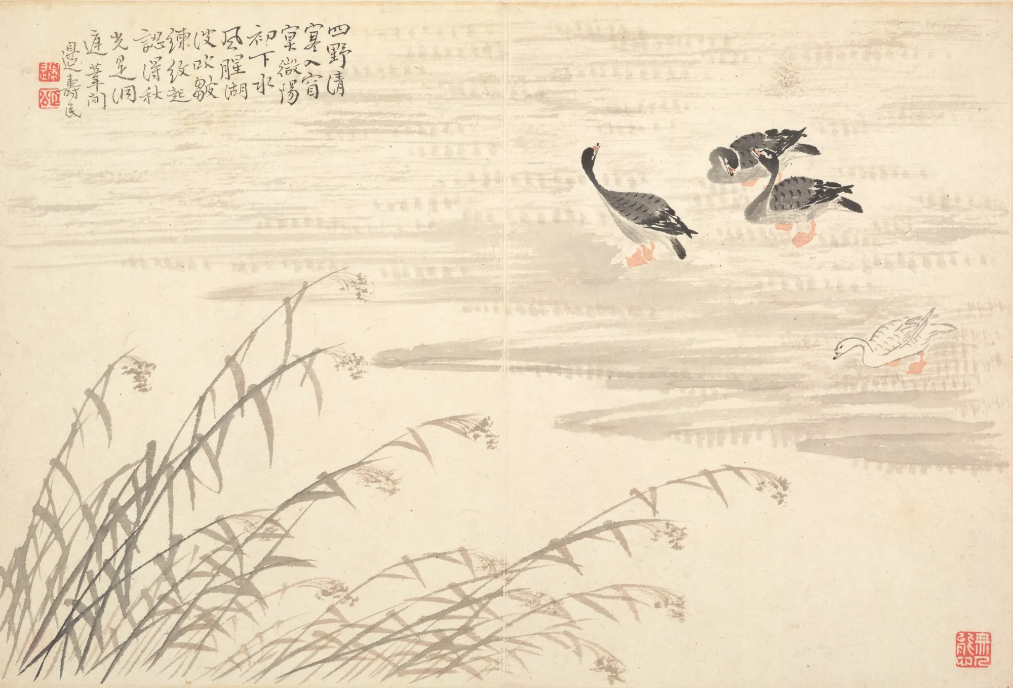 Wild Geese among Reeds