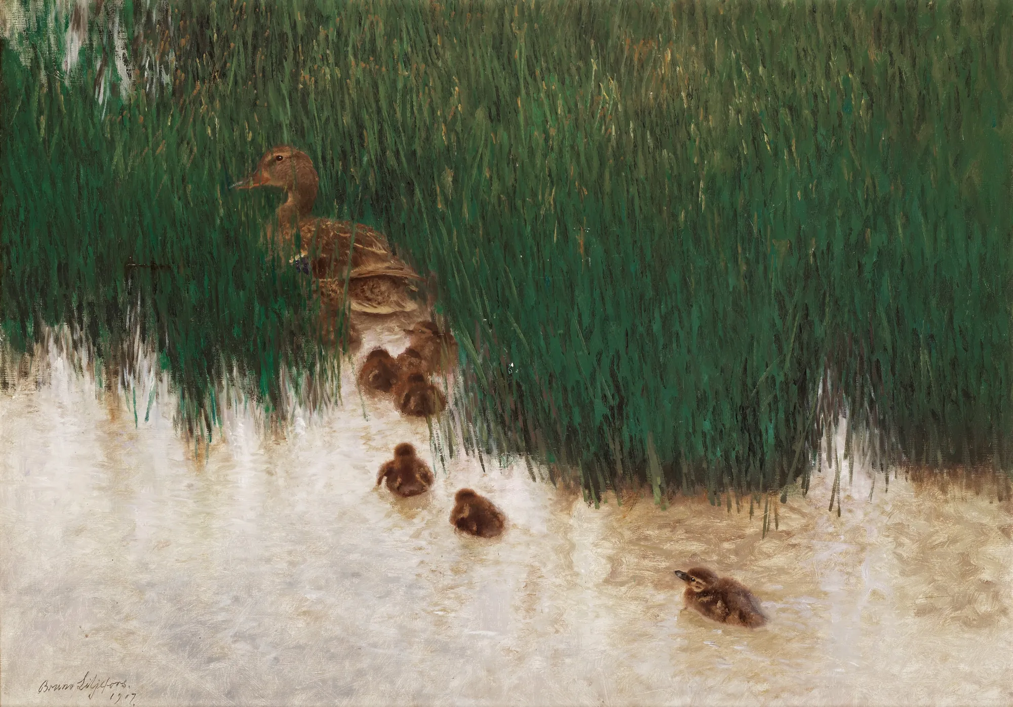 Duck Family Among Reeds