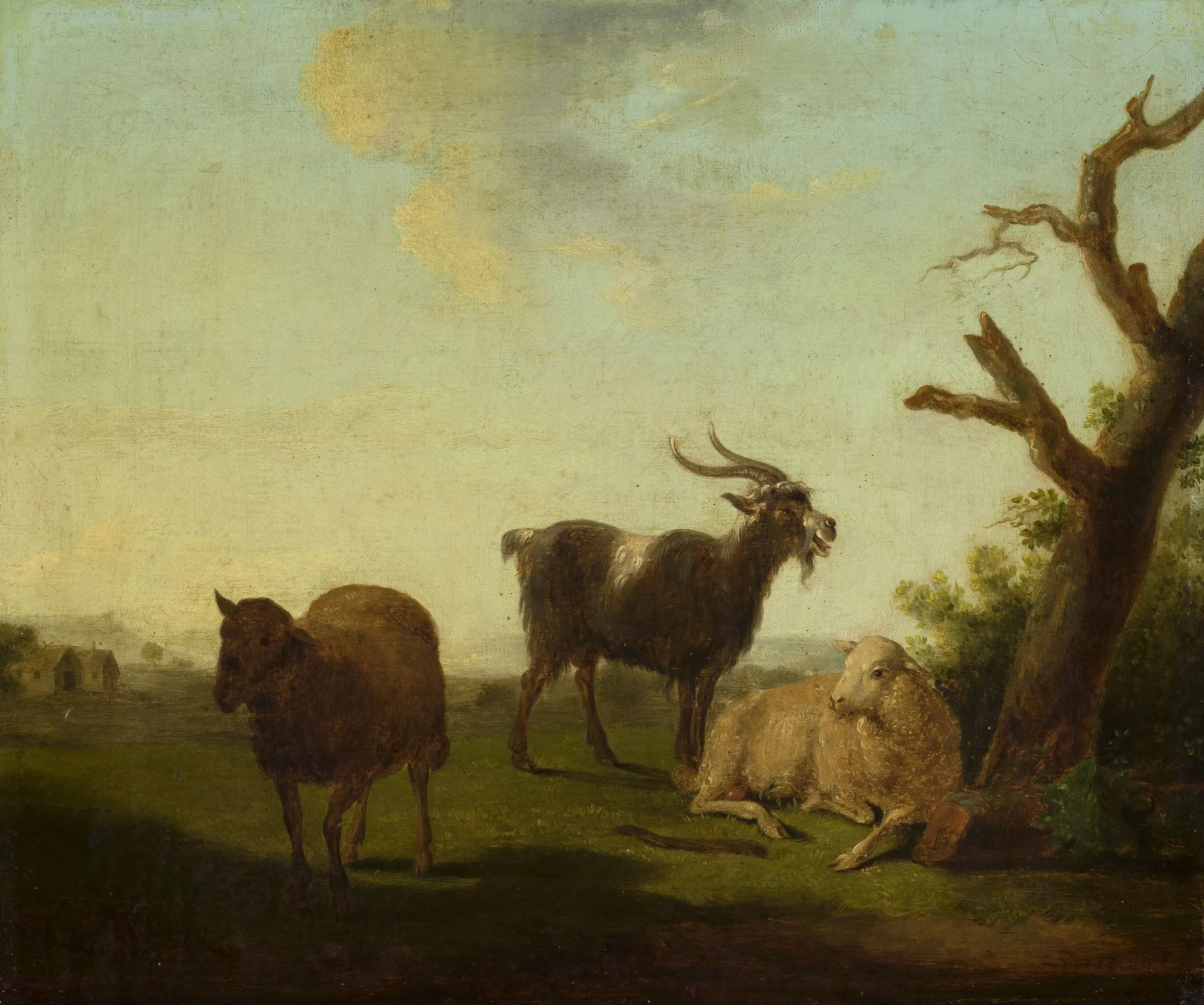 Pasture with Sheep and a Goat