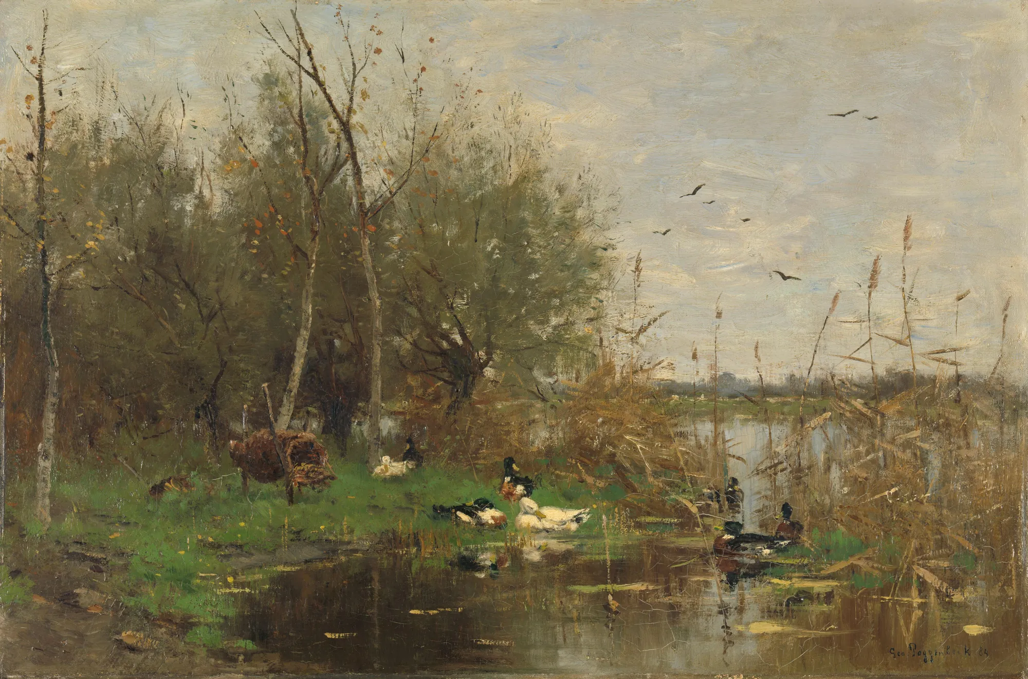 Ducks beside a Duck Shelter