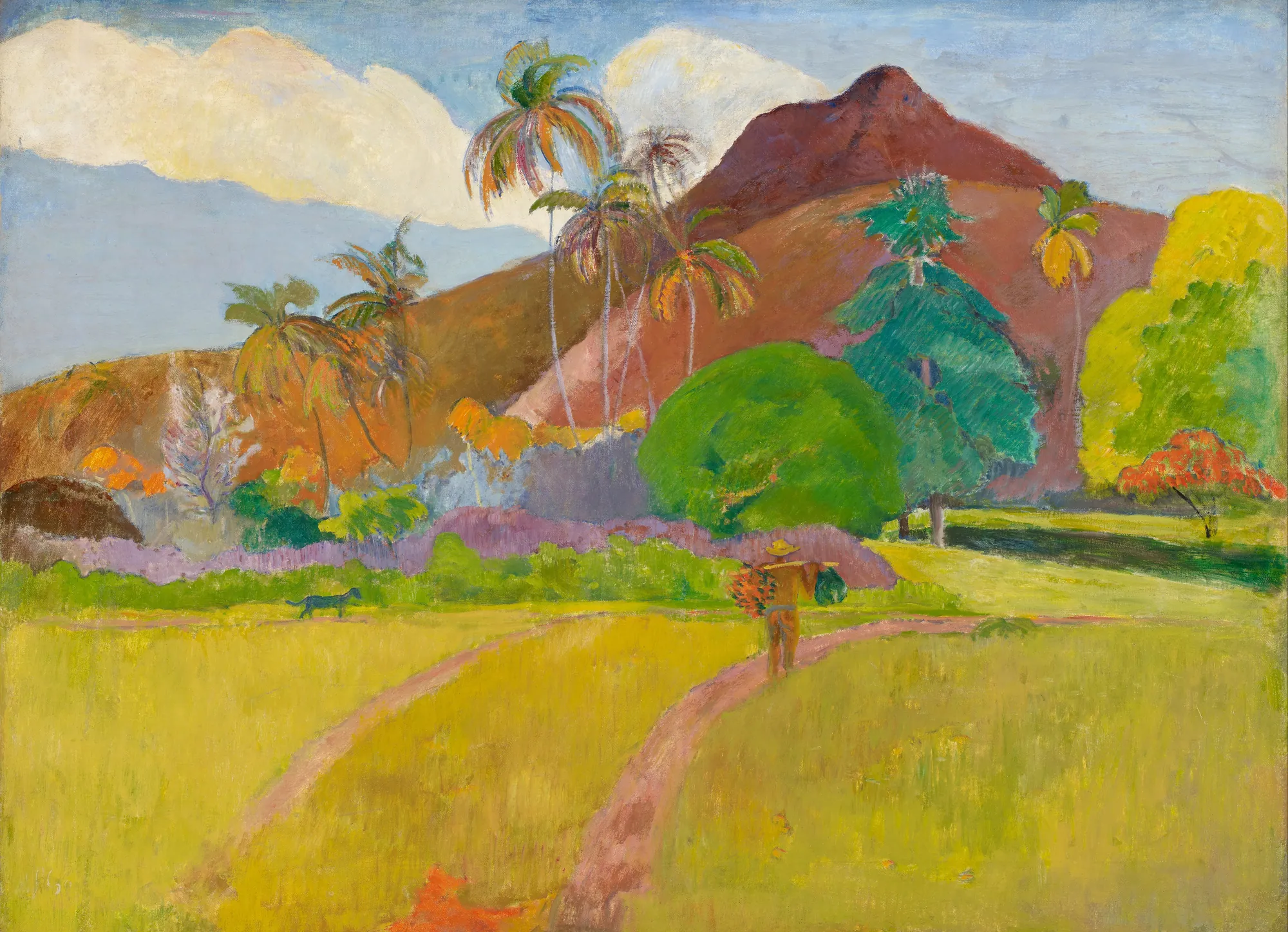 Tahitian Landscape