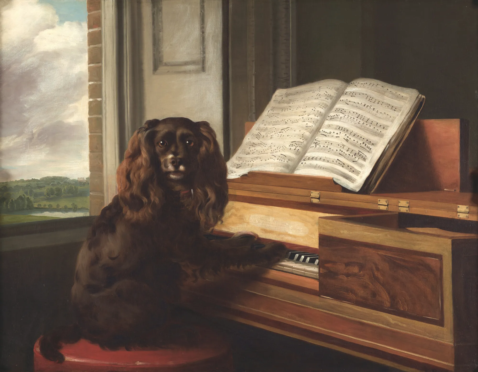Portrait of an Extraordinary Musical Dog