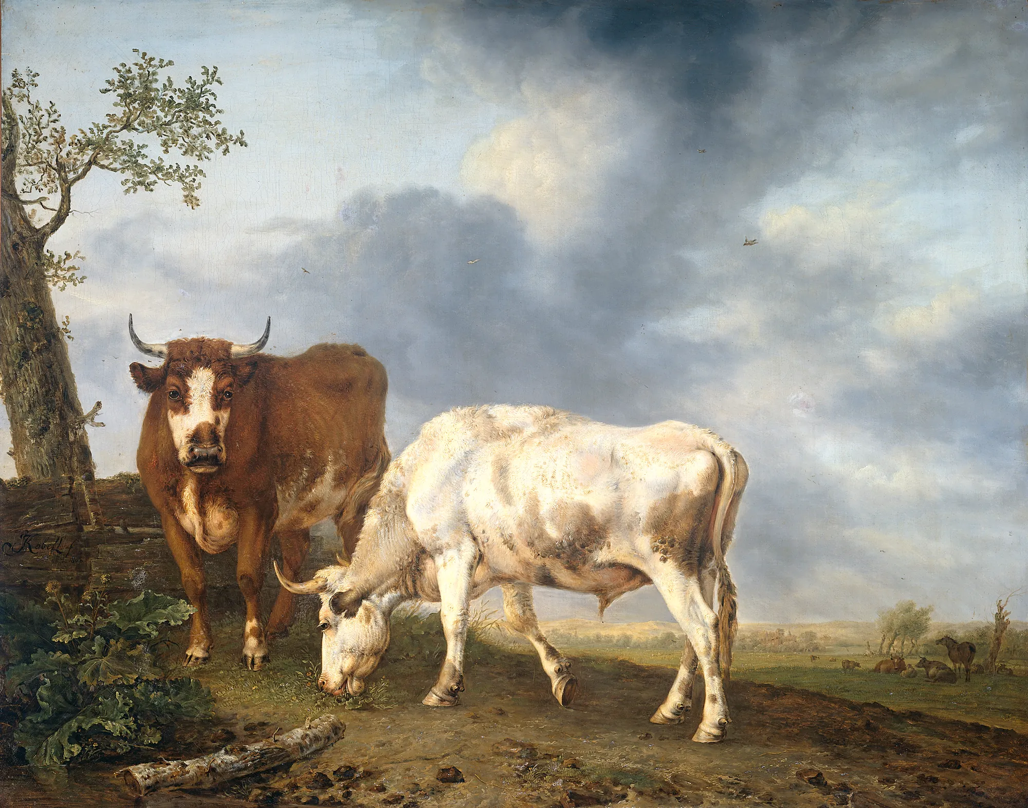 Oxen in the Meadow Oxen in the Meadow by Jan Kobell II. A brown and a white ox stand in a grassy meadow beneath an expansive sky filled with dramatic clouds.