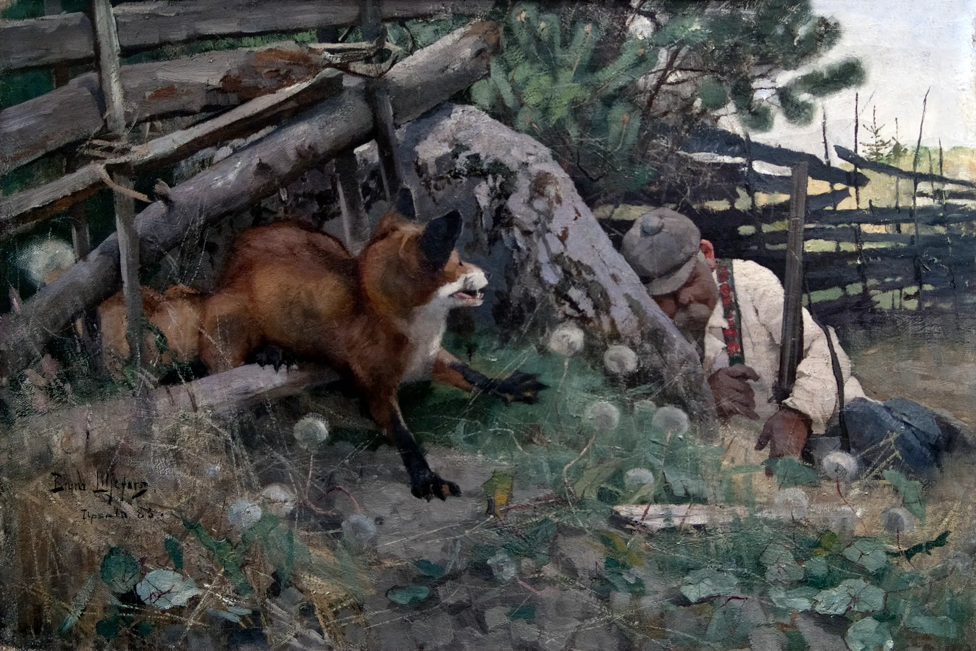 Hunter and Fox Hunter and Fox by Bruno Liljefors. A red fox cautiously emerges from under a rustic wooden fence while a hunter crouches in wait behind a rocky embankment.
