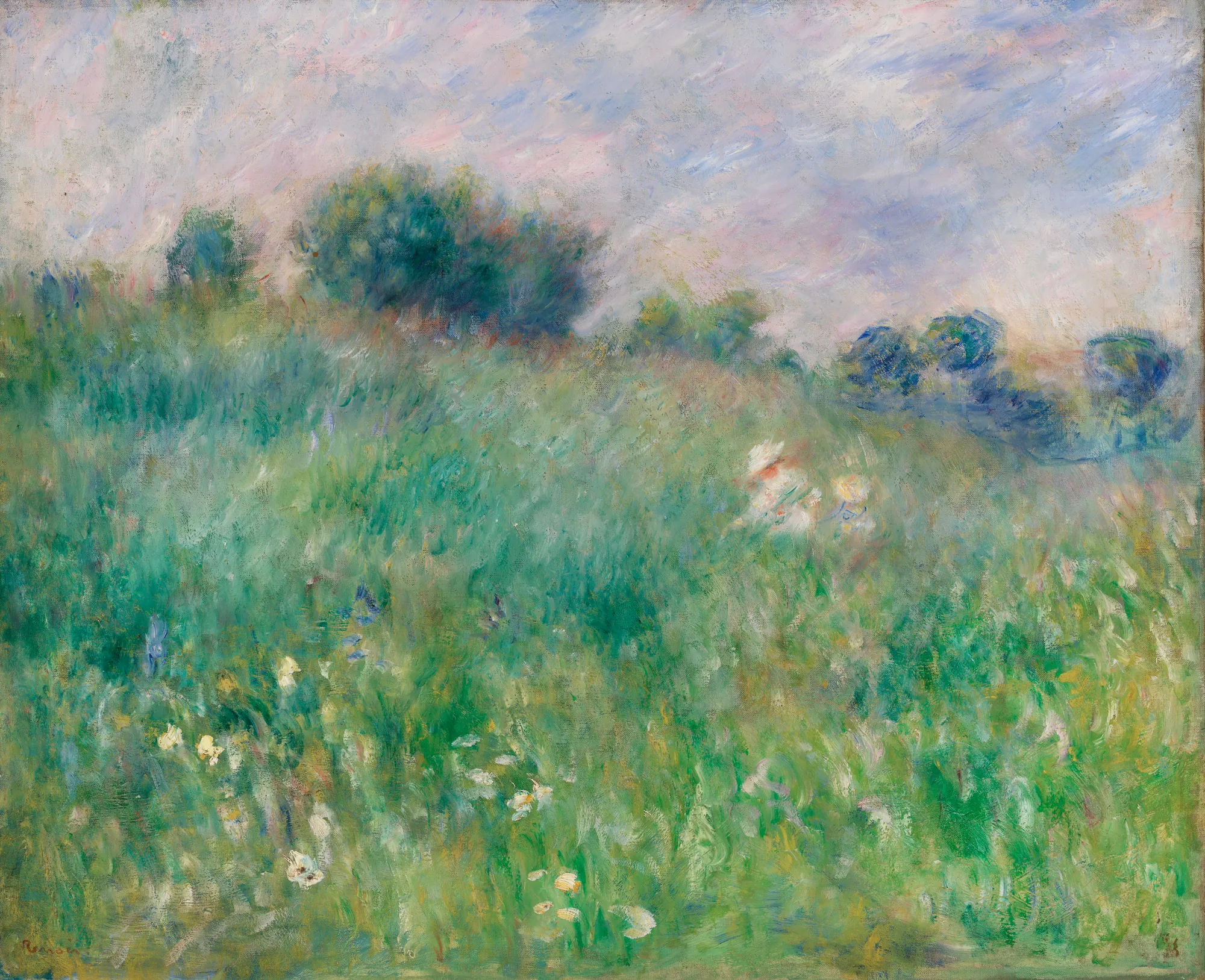 Meadow (La Prairie)
