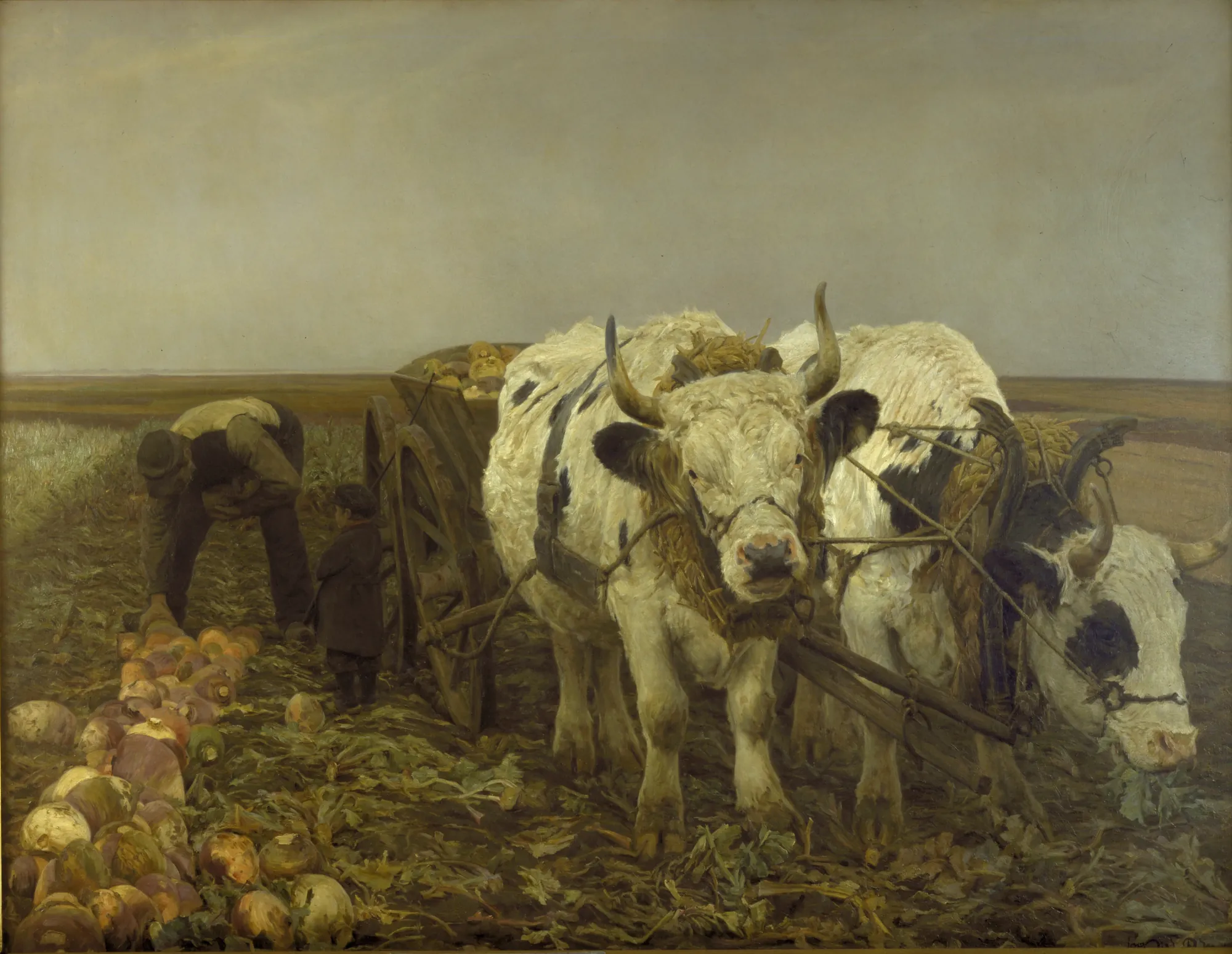 Roeoptagning