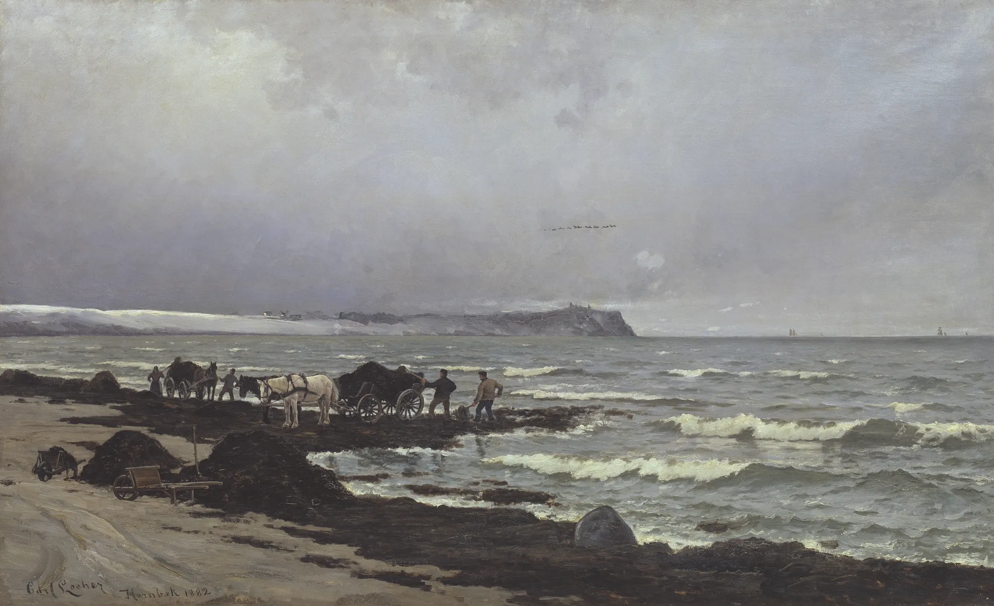 Loading Seaweed at Hornbæk Beach Loading Seaweed at Hornbæk Beach by Carl Locher. Workers load seaweed onto horse-drawn carts on a windswept beach under a heavy, overcast grey sky.