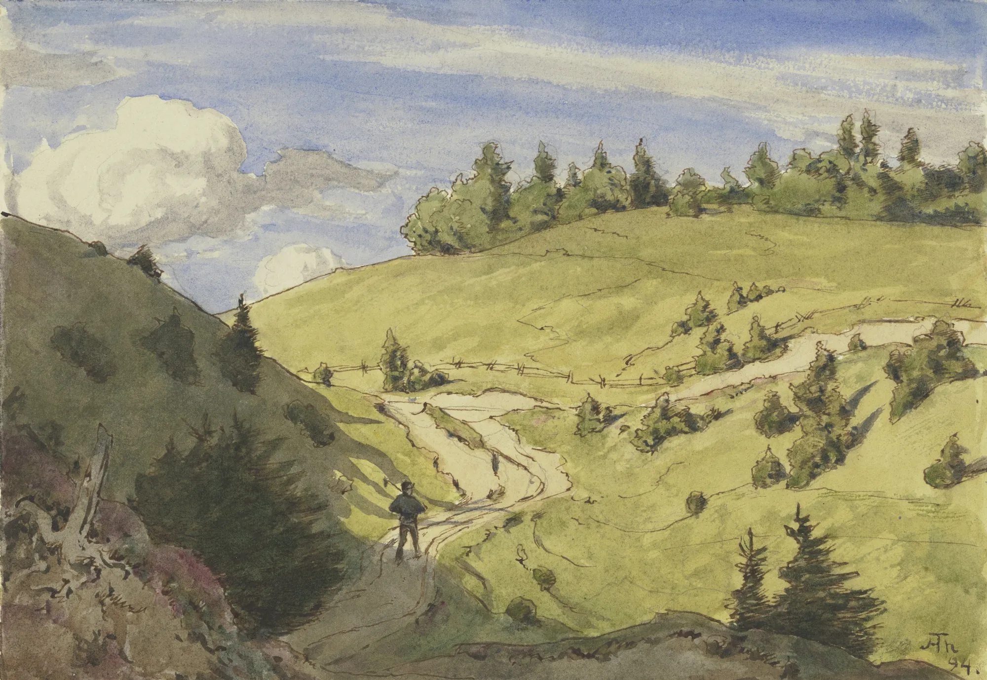 Landscape in the Black Forest