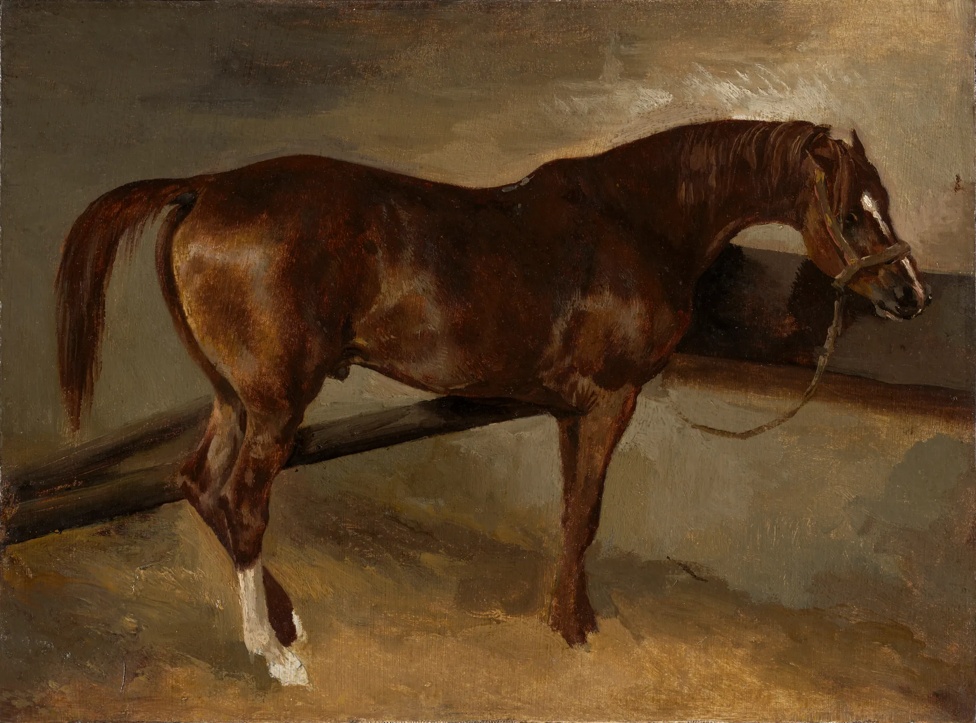 Dervish in His Stall