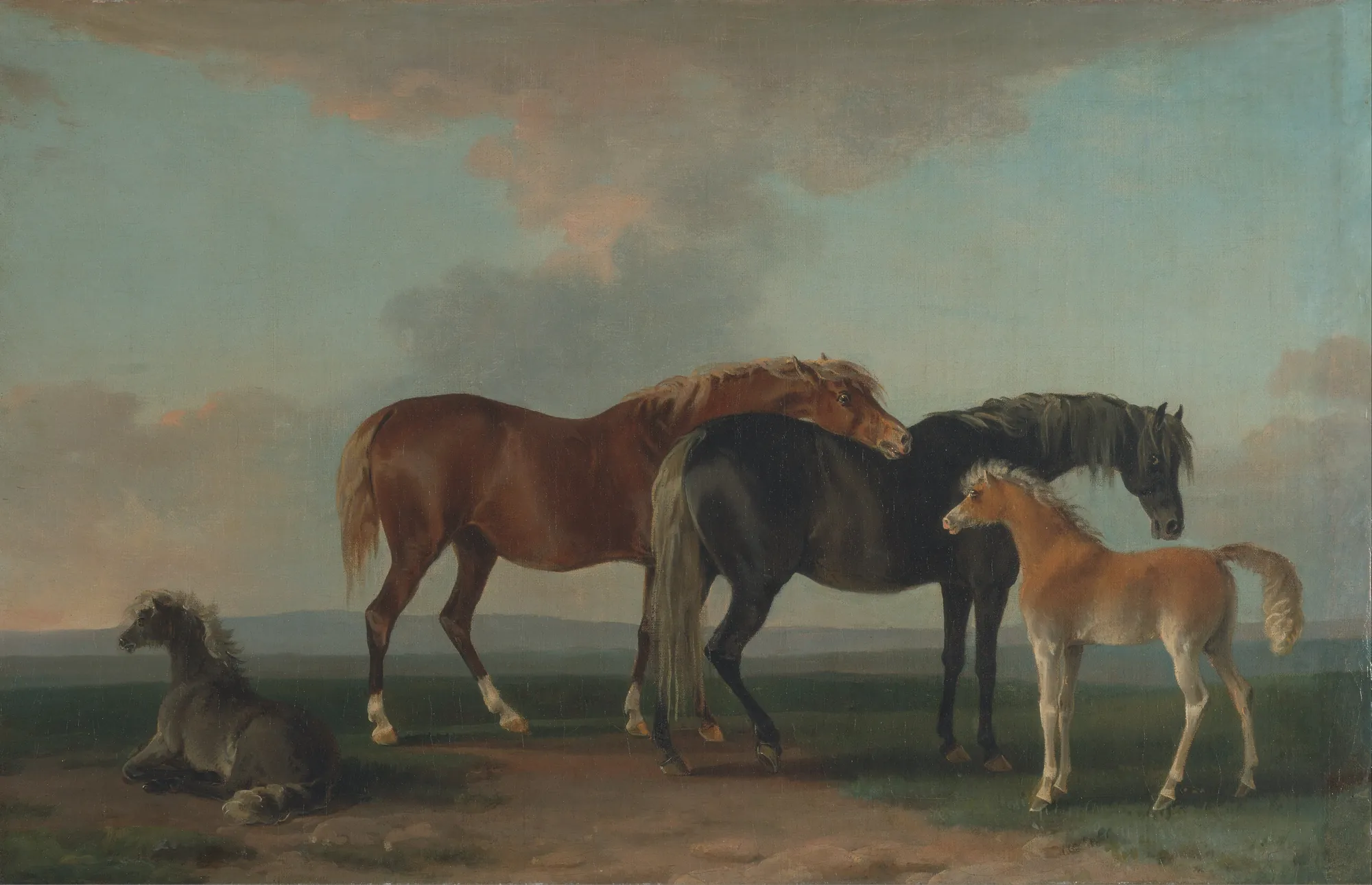 Mares and Foals