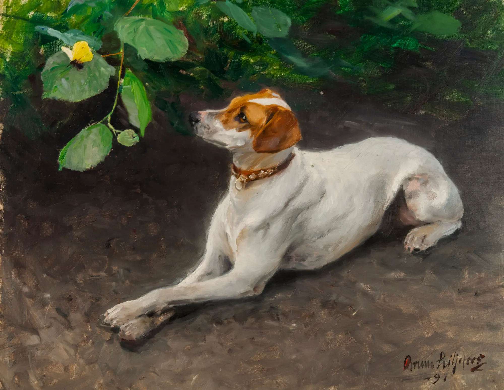 Portrait of a Dog
