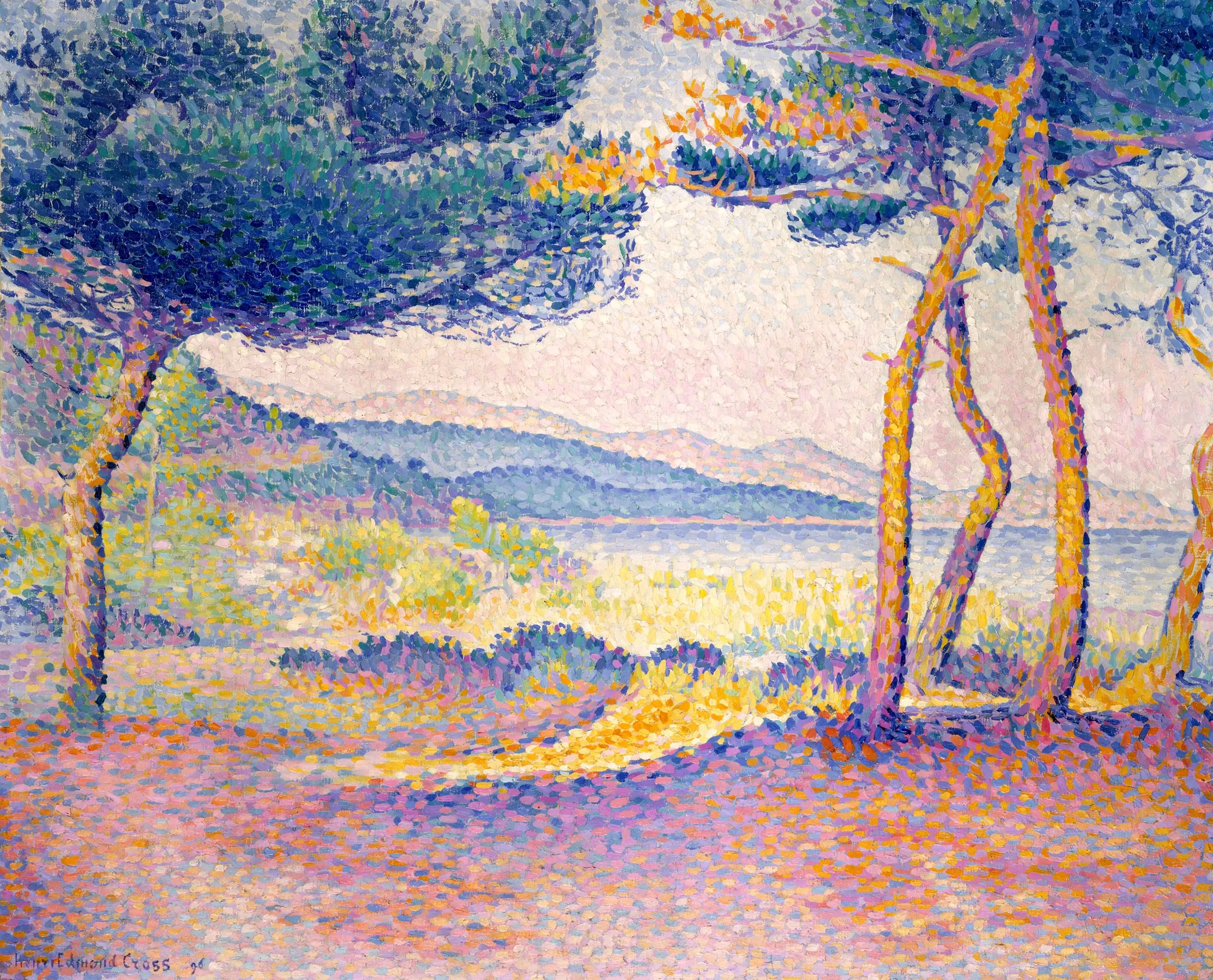 Pines Along the Shore