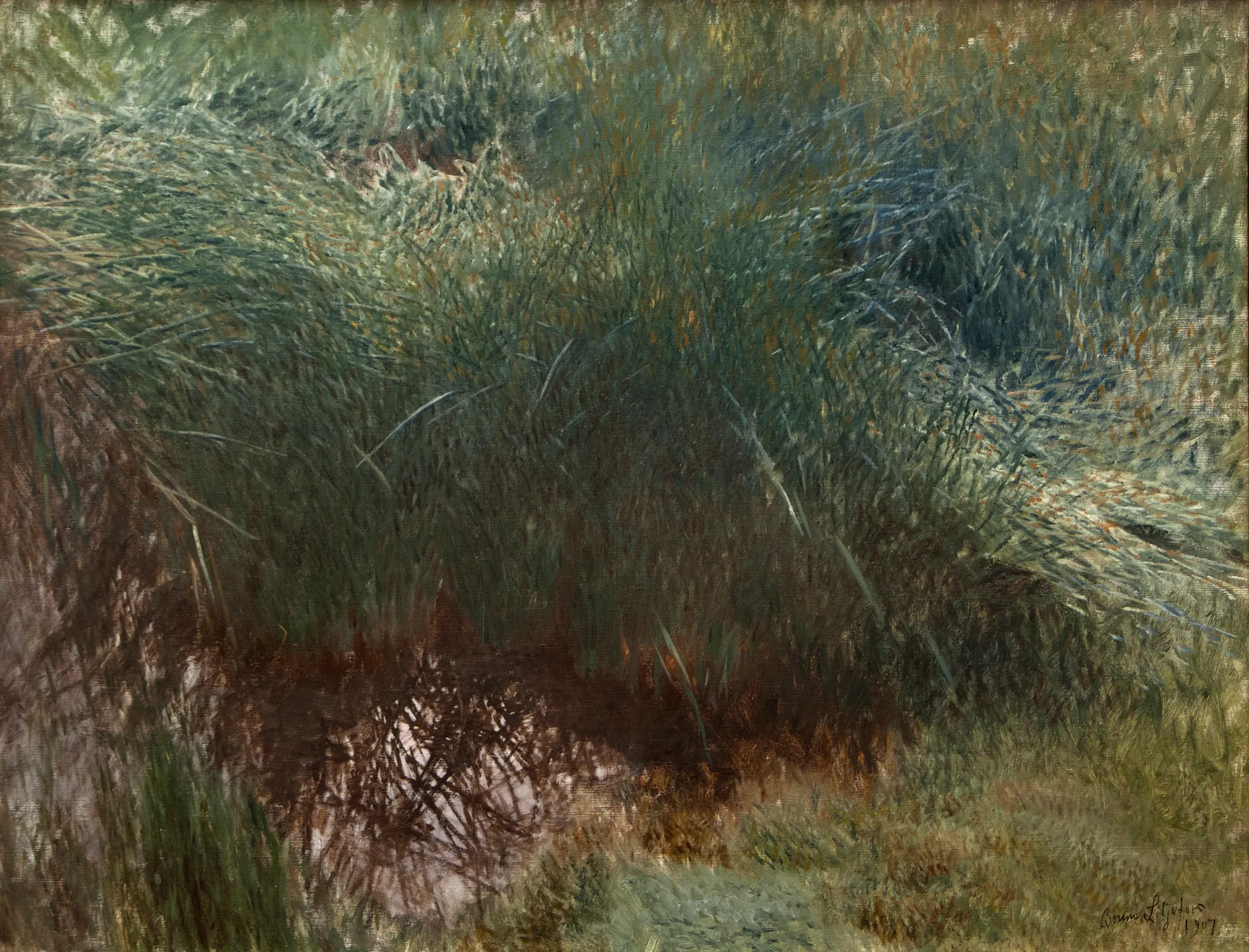 Clump of Reeds