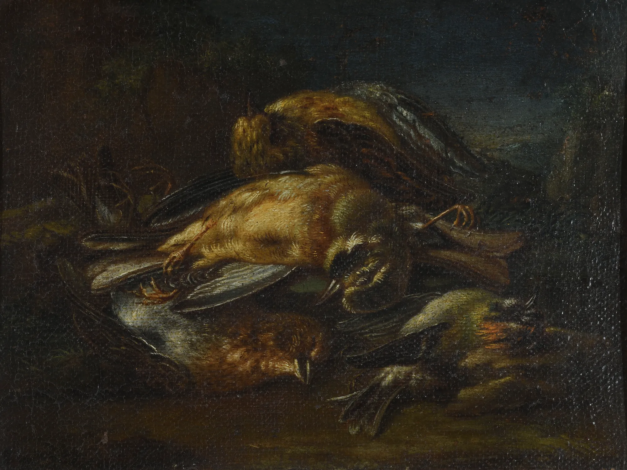 Still Life with Dead Birds