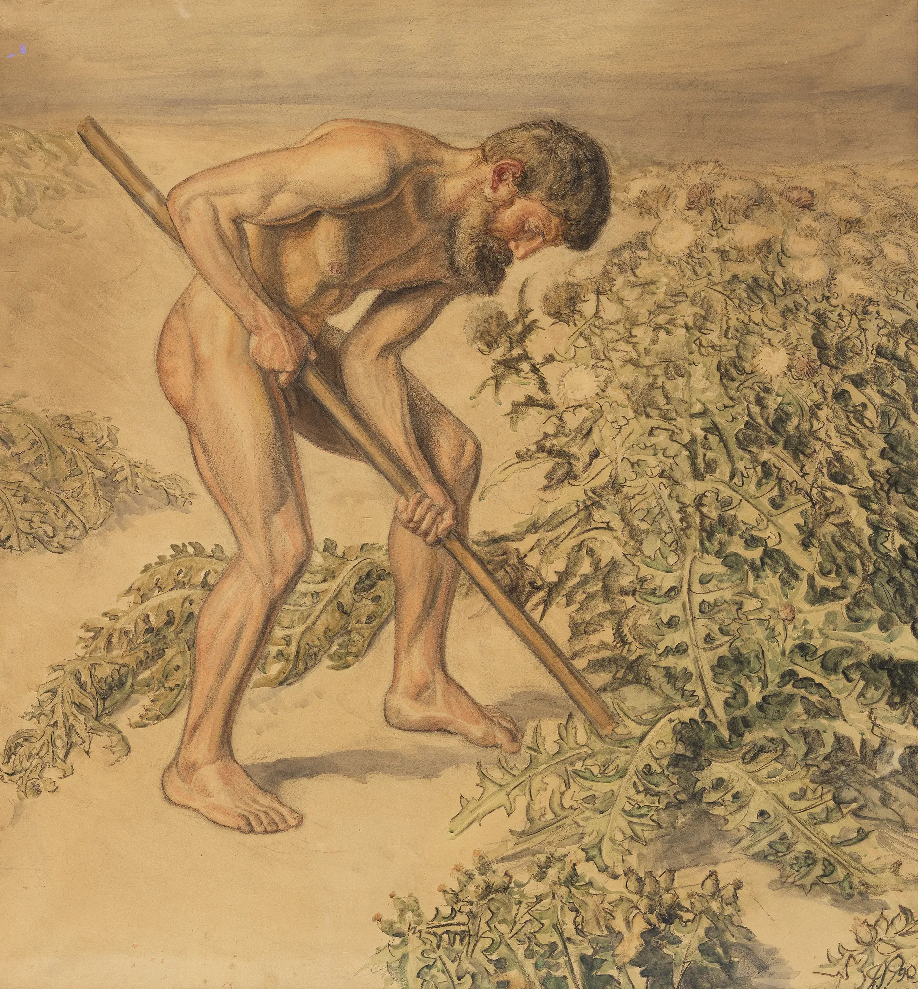 Adam Drawing up Thistles