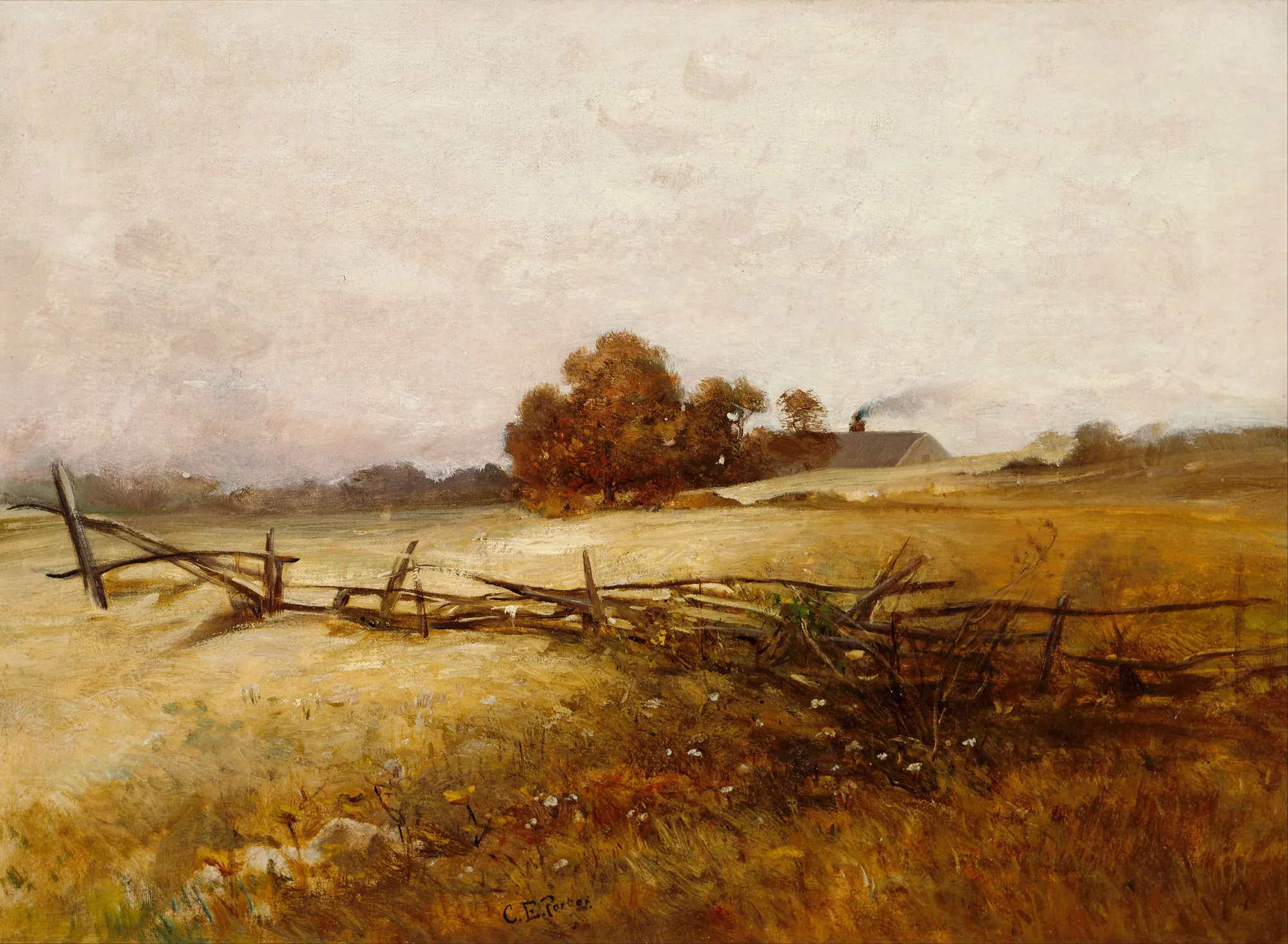 Autumn Landscape