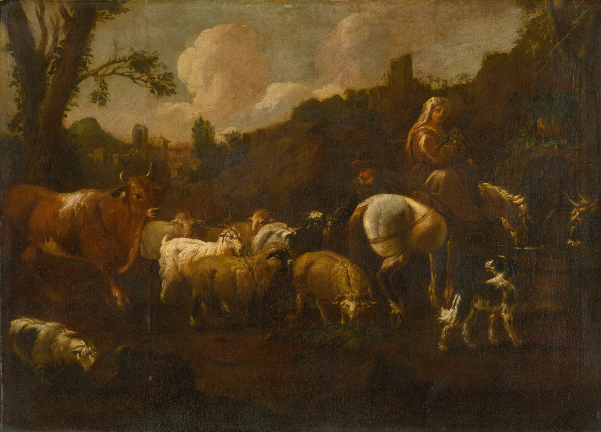 Watering the Herd