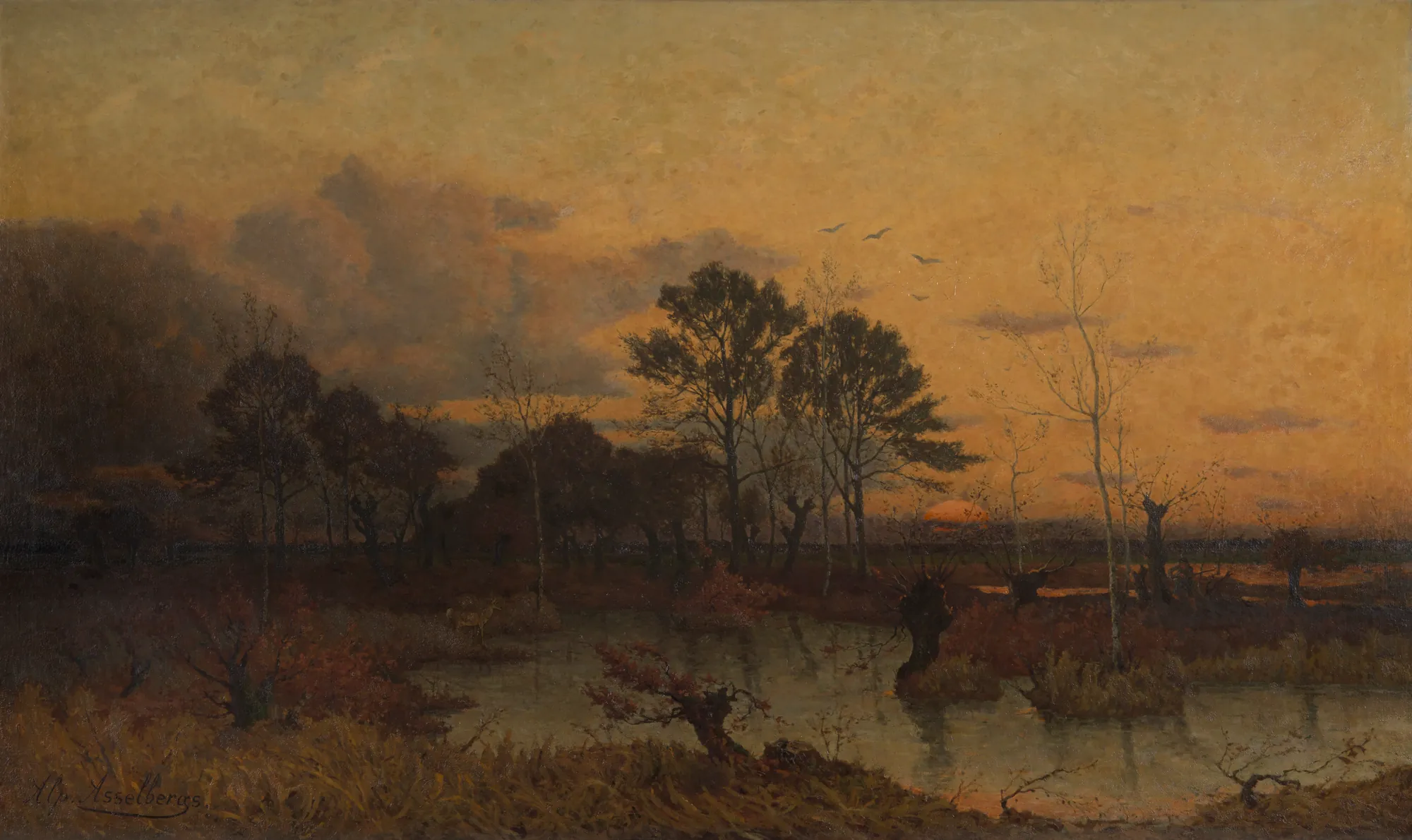 Fen in the Kempen