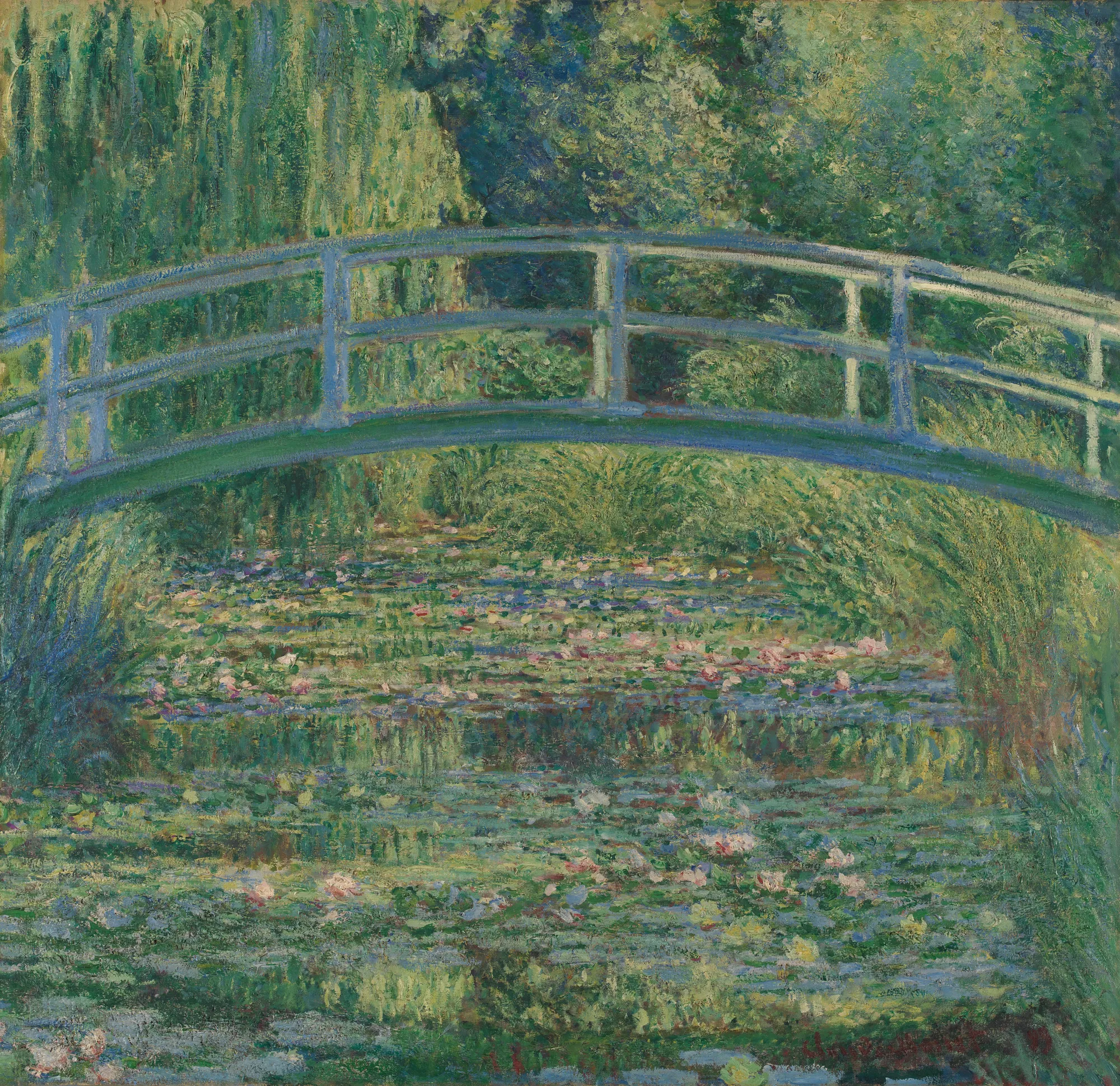 The Water-Lily Pond