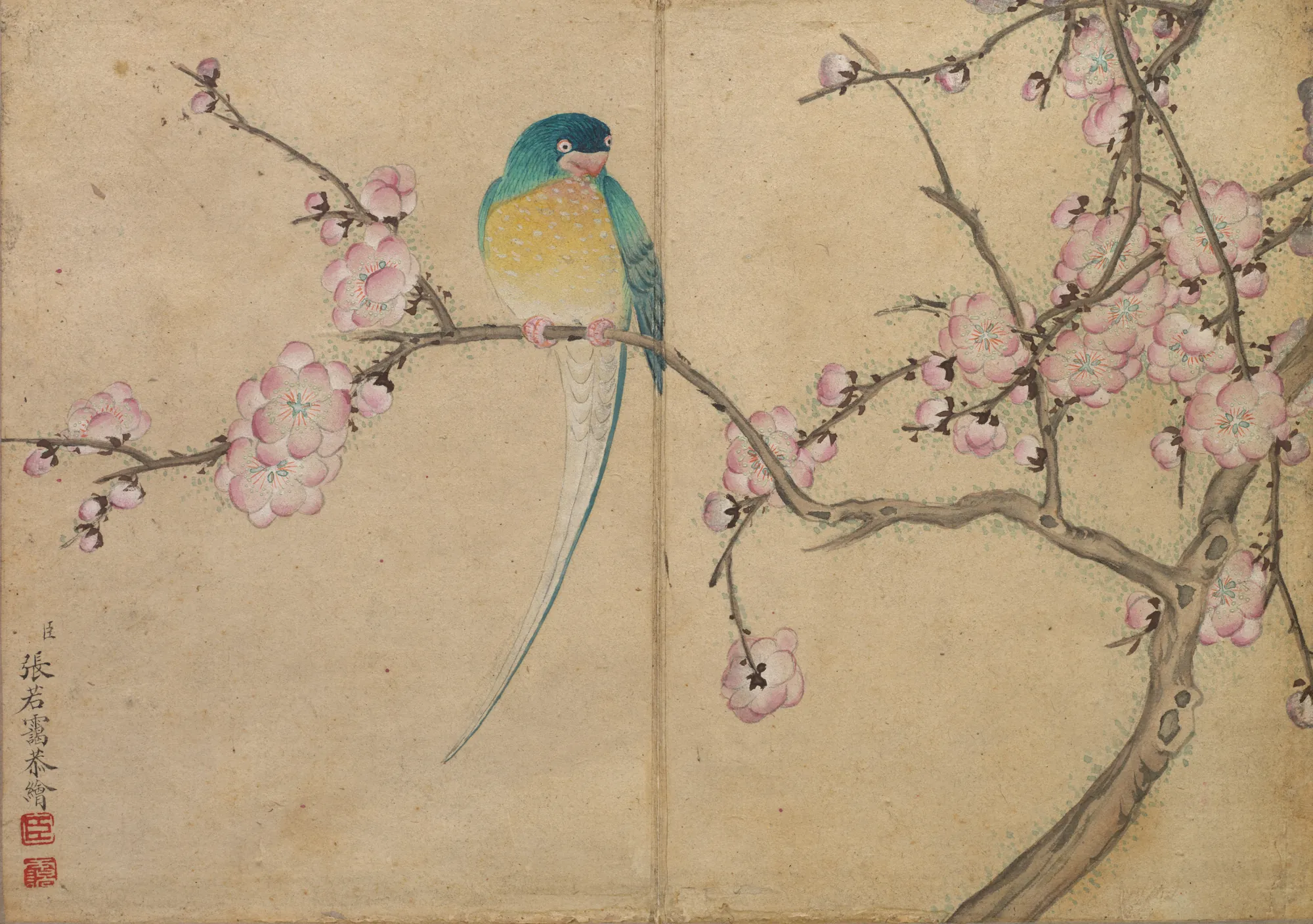 Bird with Plum Blossoms