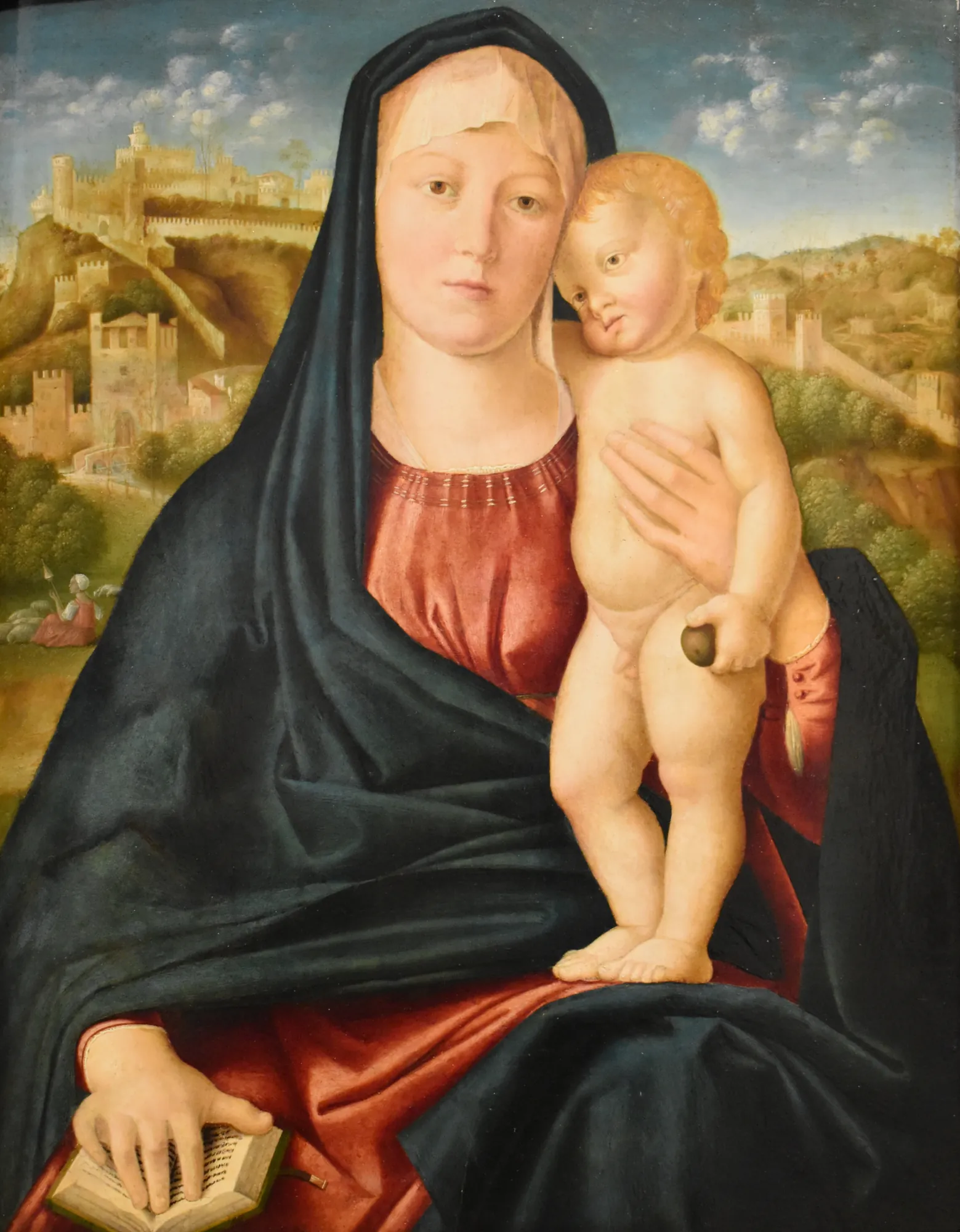 Madonna and Child in a Landscape of High Venetia