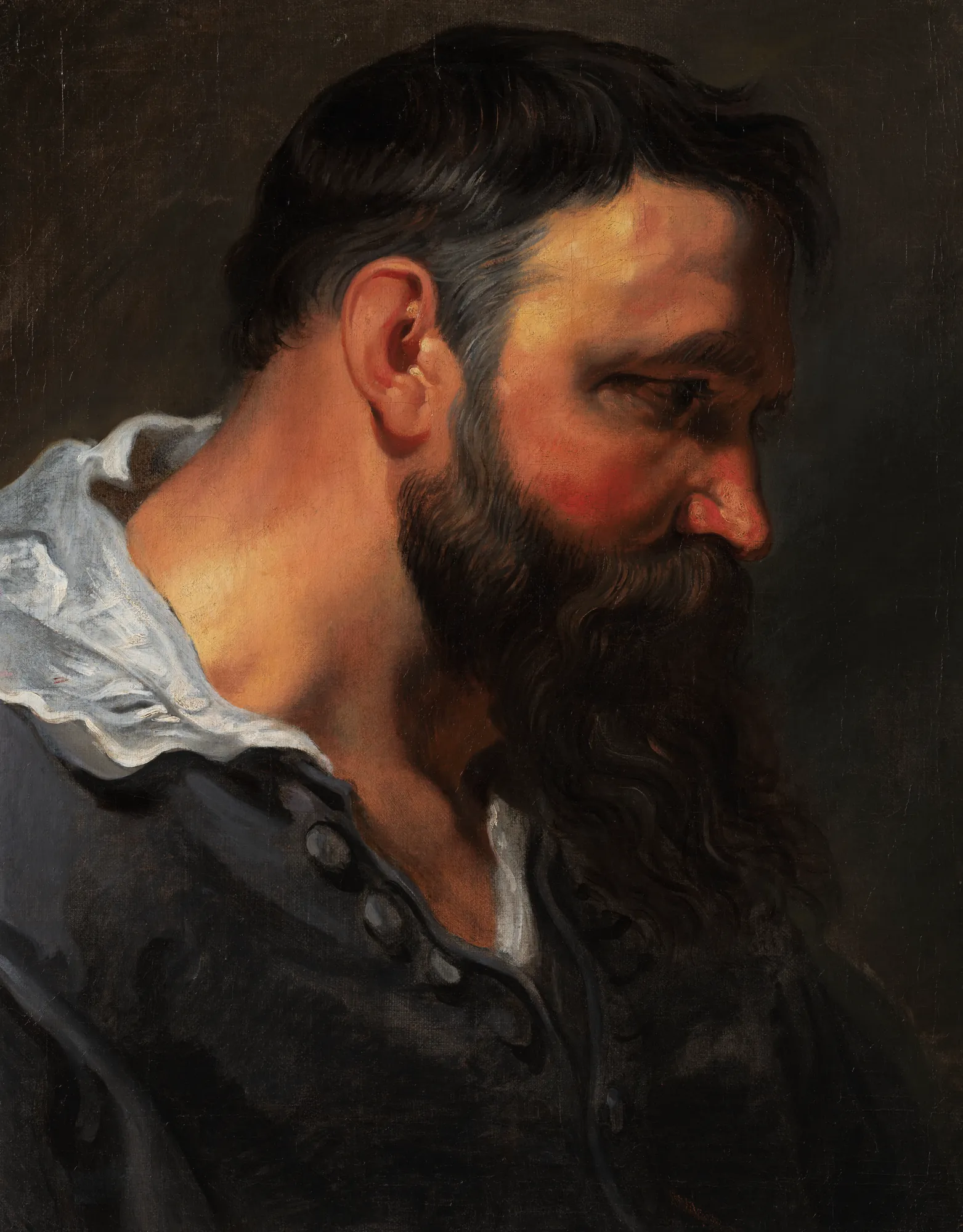 Head Study of a Bearded Man