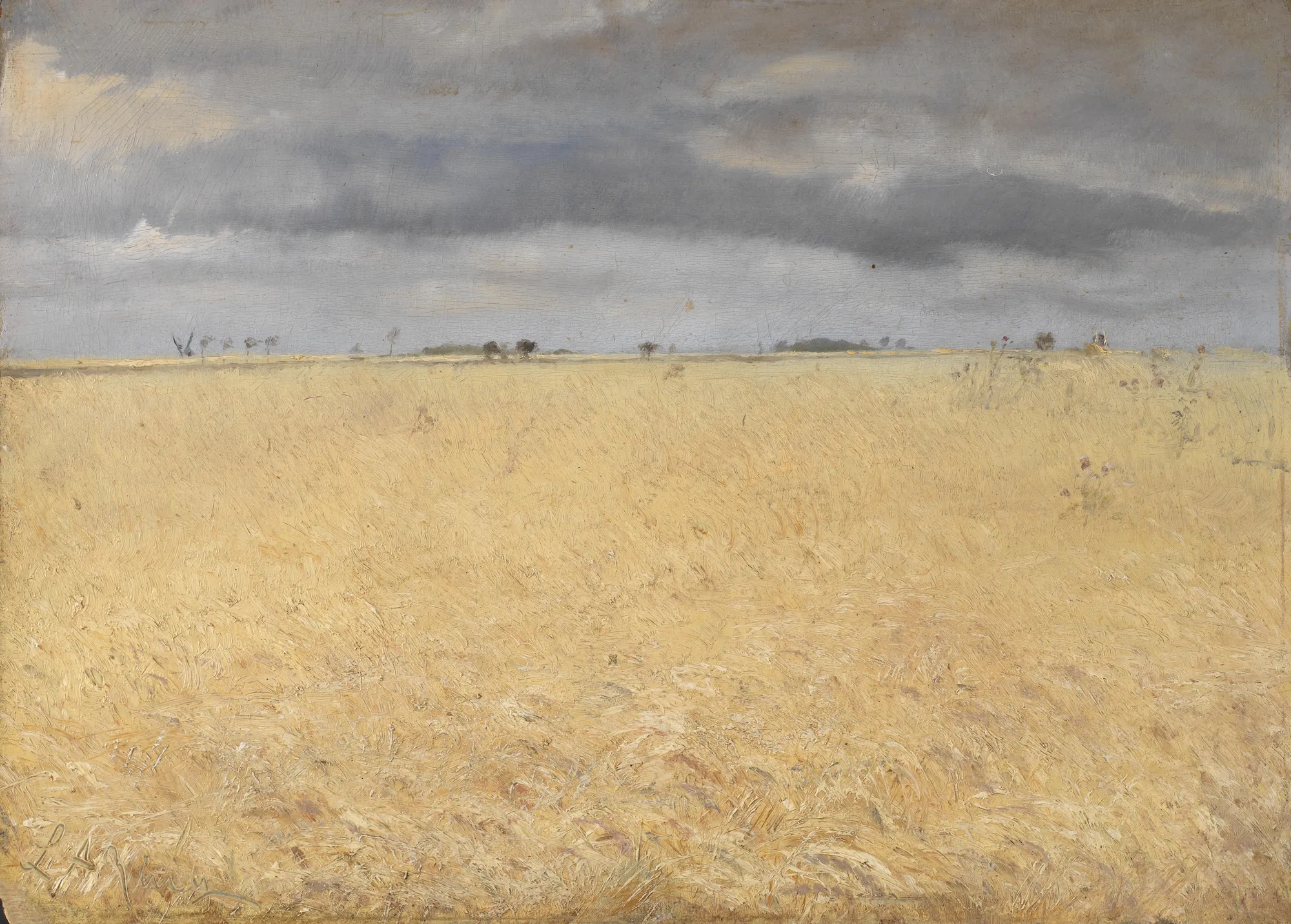 A Rye Field near Ring Village