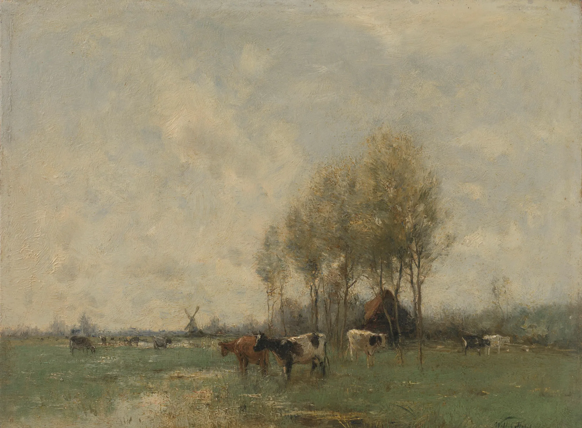 Meadow with Cows