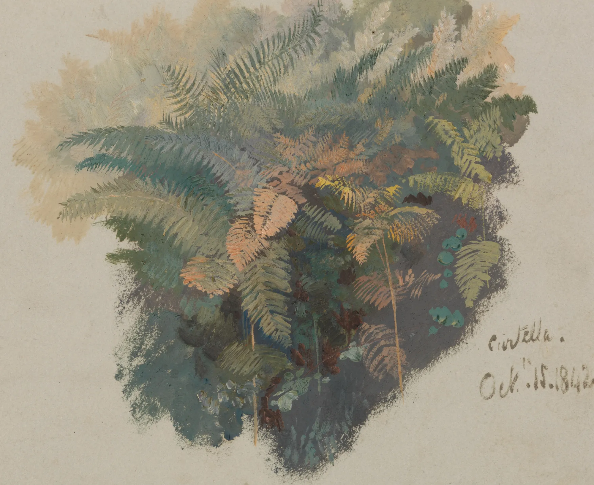 A Study of Ferns, Civitella