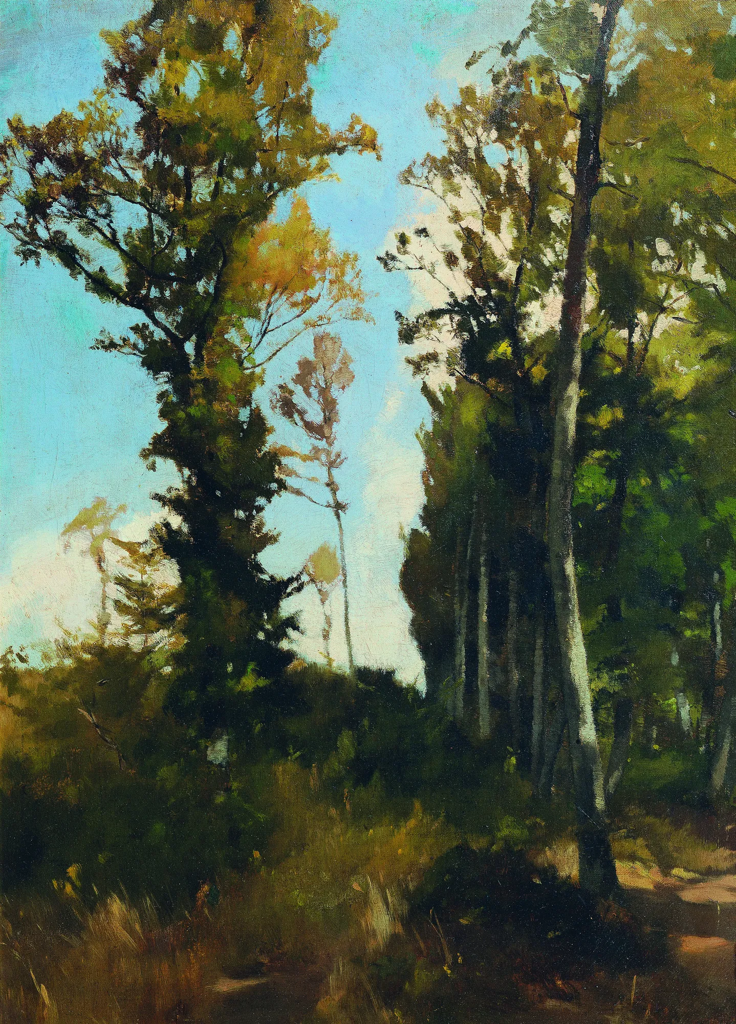 Forest Clearing near Purkersdorf (Waldlichtung bei Purkersdorf) Forest Clearing near Purkersdorf (Waldlichtung bei Purkersdorf) by Carl Schuch. A luminous landscape featuring tall, leafy trees flanking a sunlit clearing under a clear blue sky.