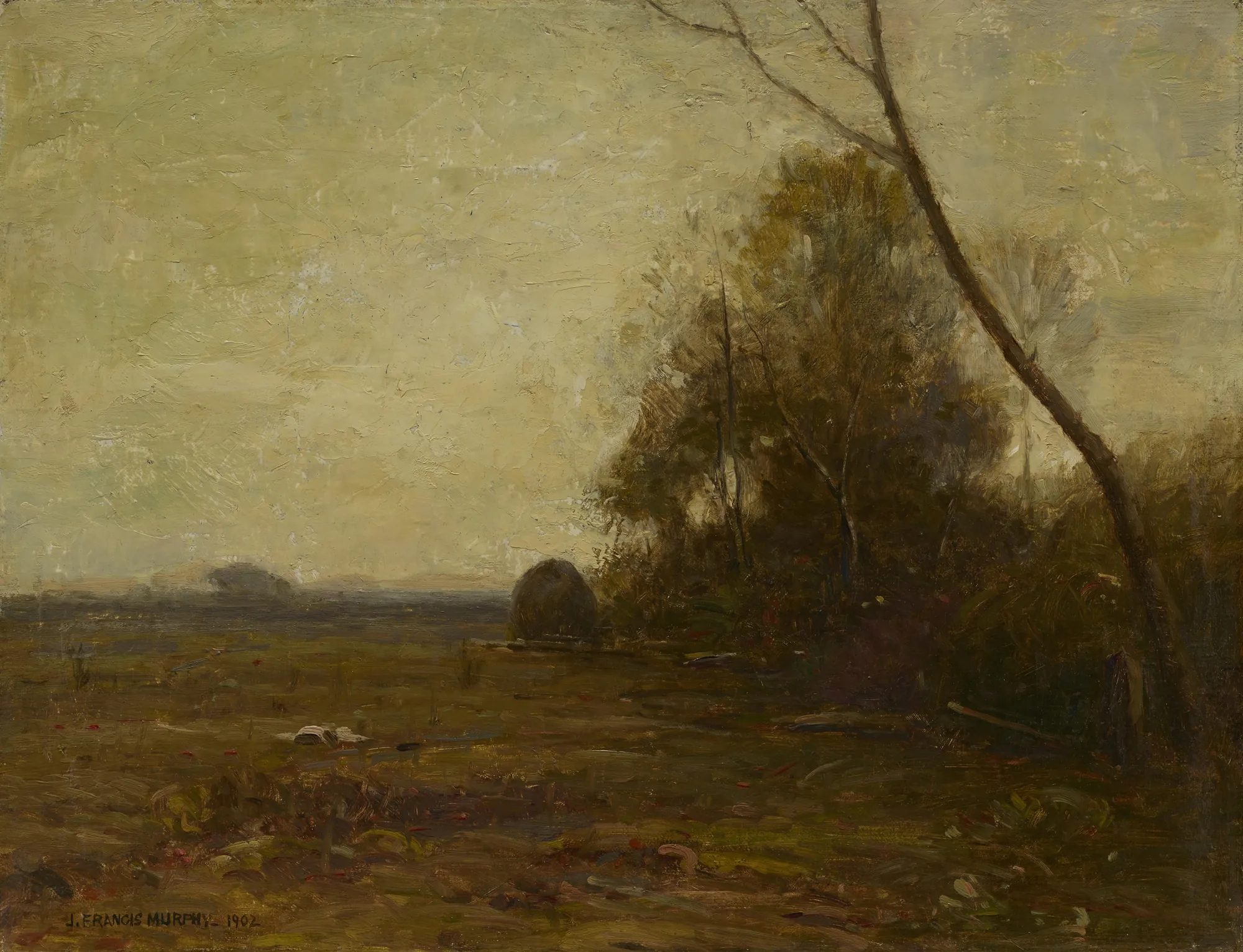 Landscape