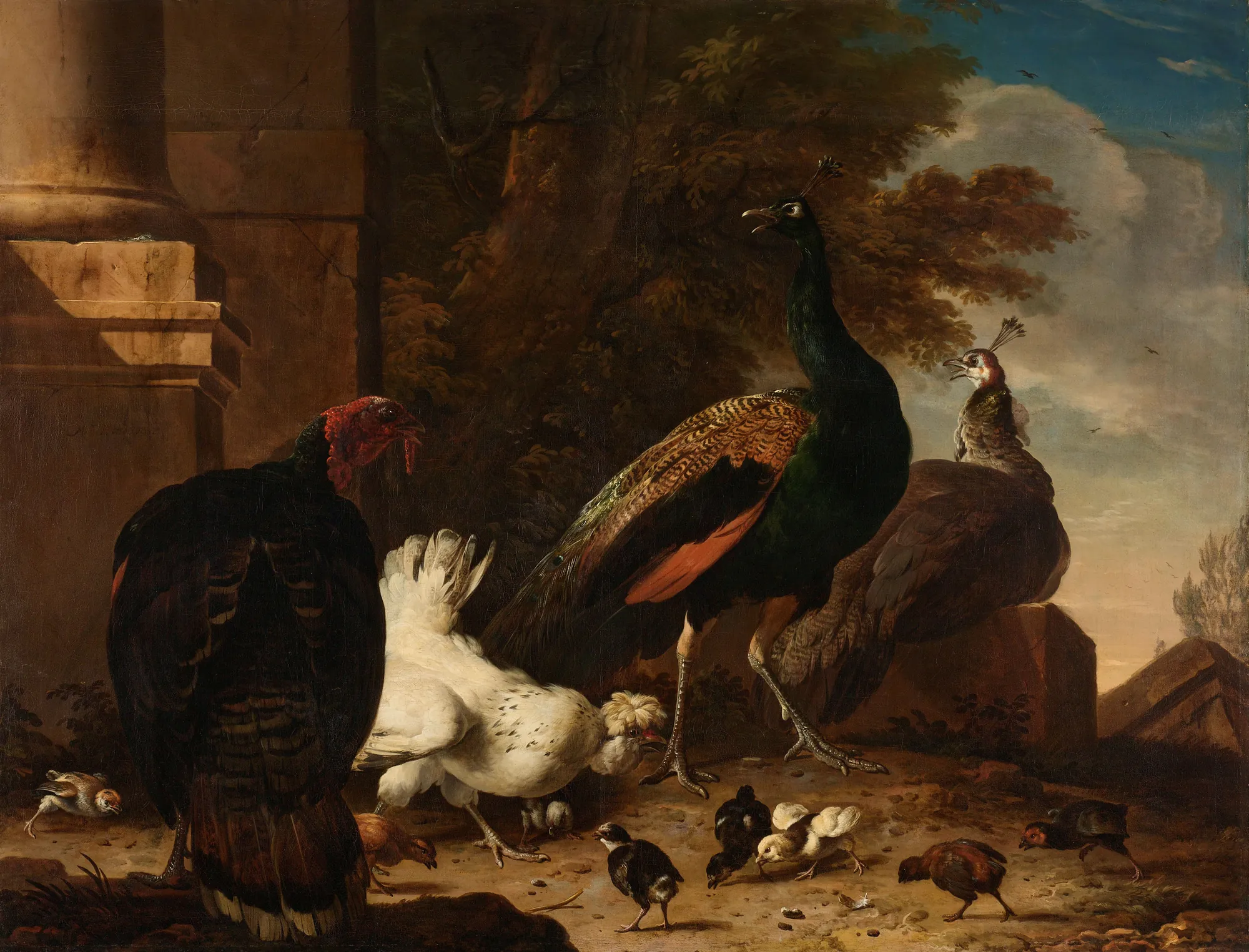 A Hen with Peacocks and a Turkey