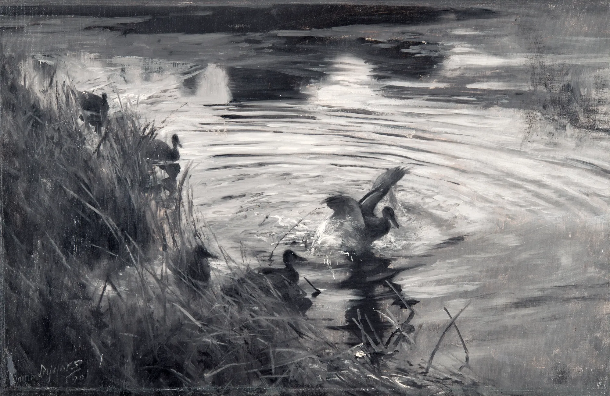 Wild Ducks among Reeds