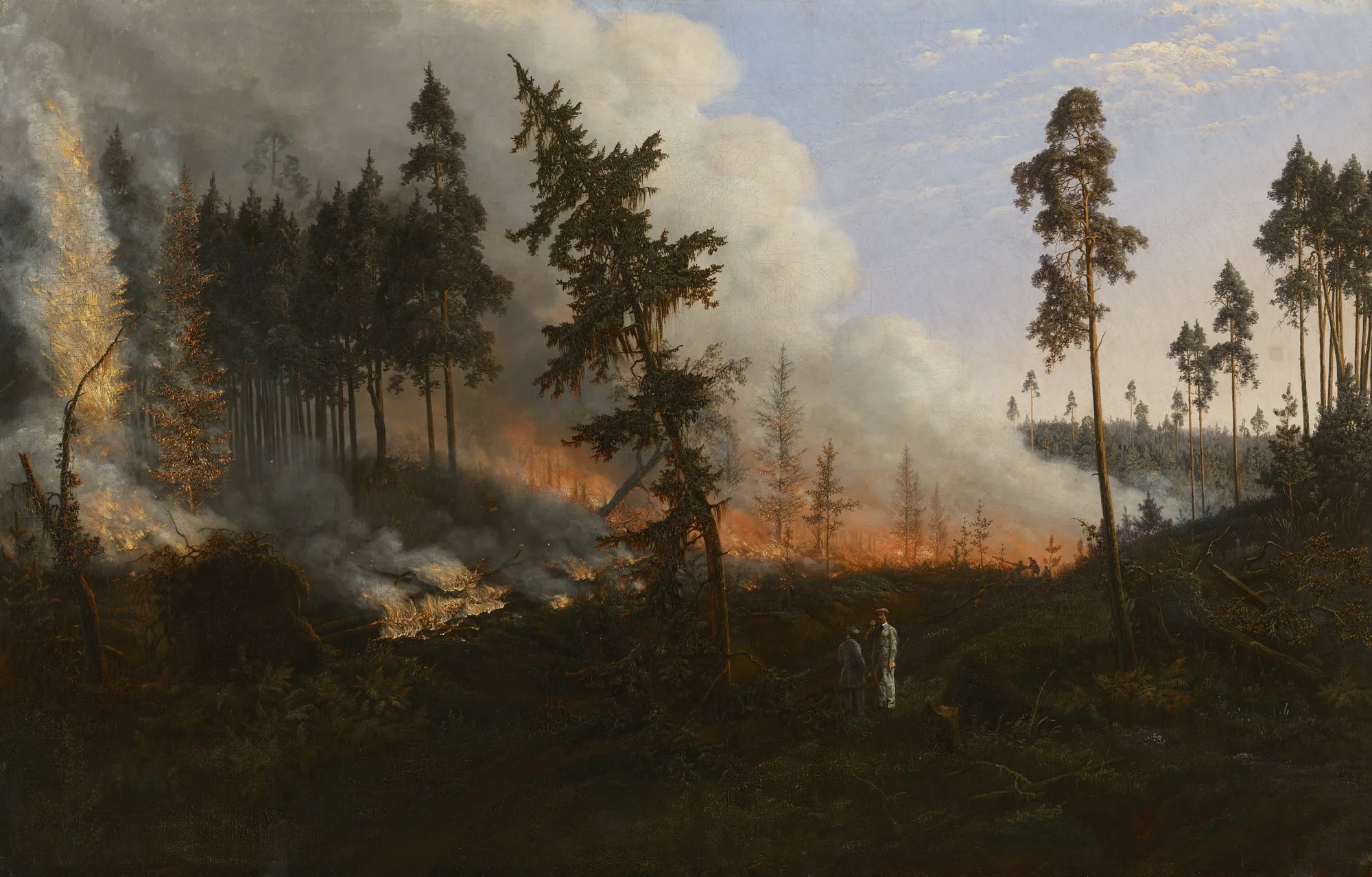 Forest Fire