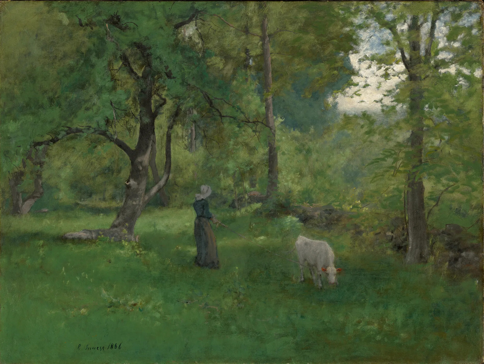 Green Landscape